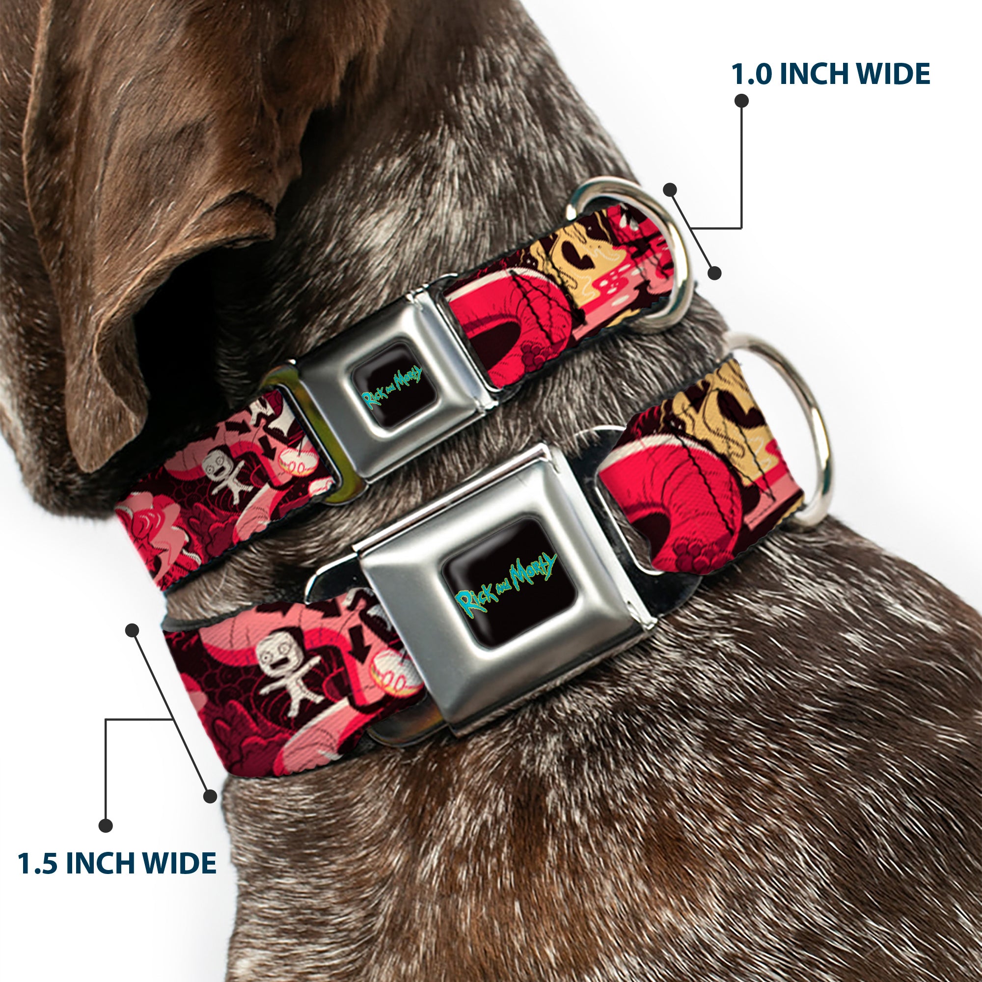 RICK AND MORTY Text Logo Full Color Black/Blue Seatbelt Buckle Collar - Rick and Morty Anatomy Park Collage Reds/Black Seatbelt Buckle Collars Rick and Morty