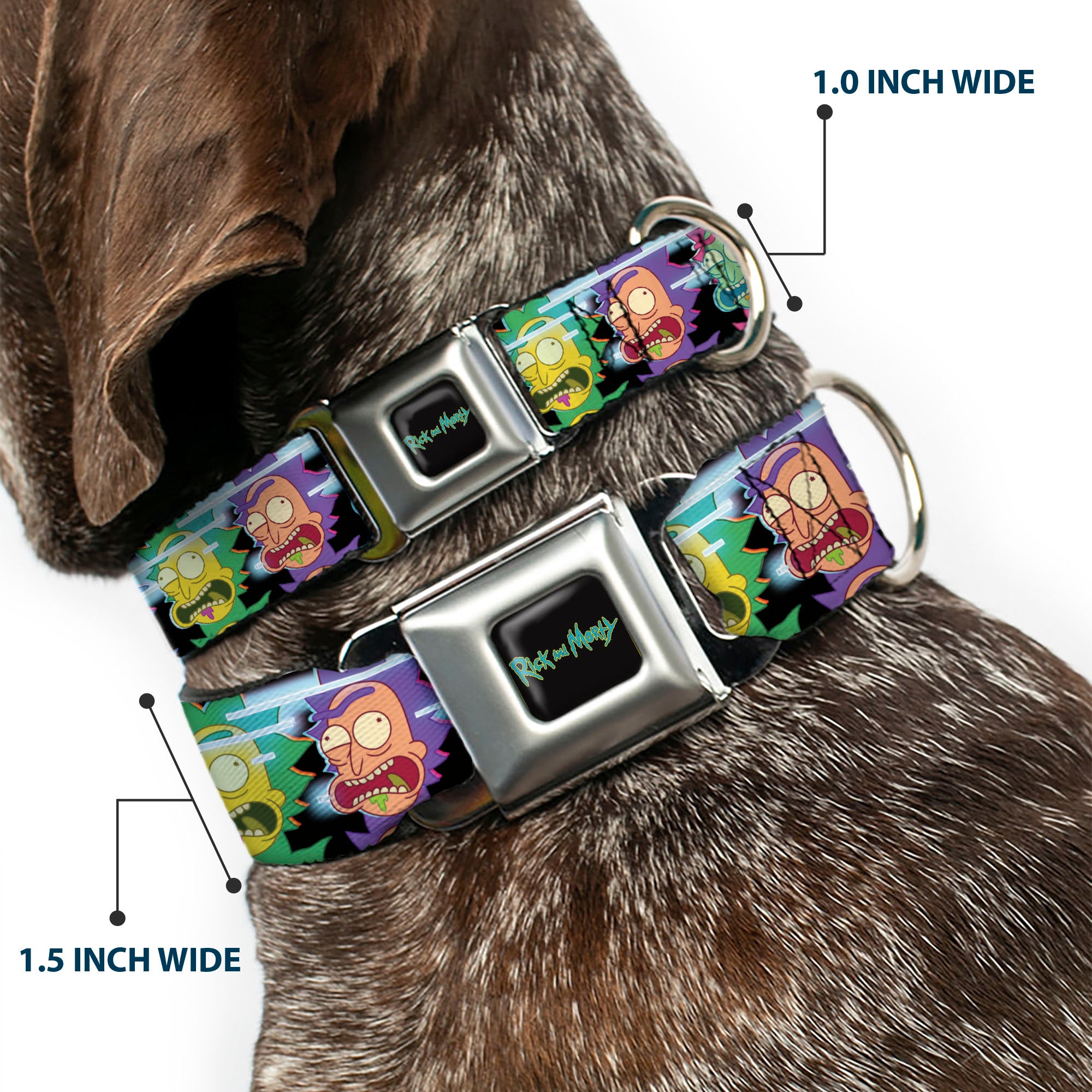 RICK AND MORTY Text Logo Full Color Black/Blue Seatbelt Buckle Collar - Rick Sanchez Screaming Face Black/Multi Color Seatbelt Buckle Collars Rick and Morty