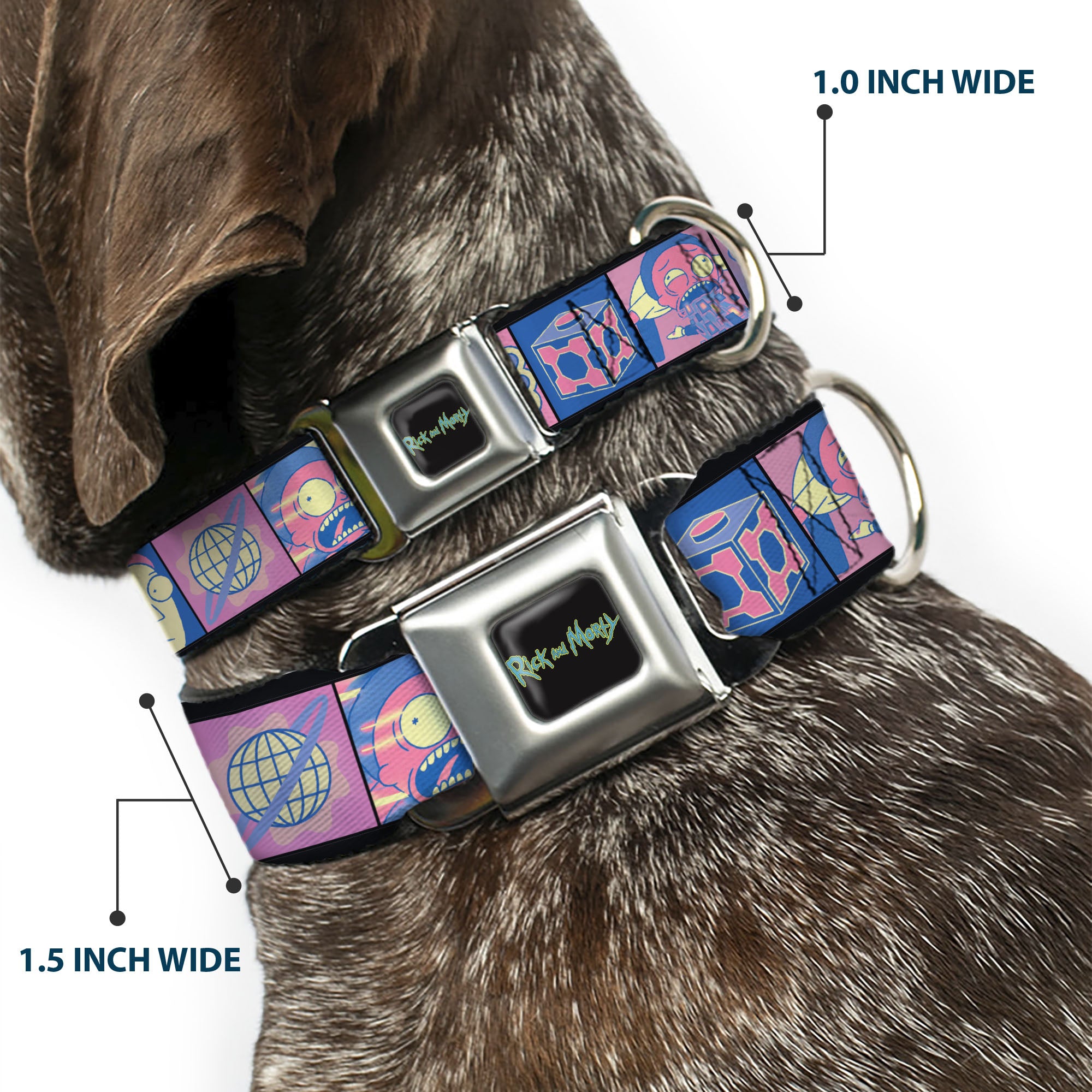 RICK AND MORTY Text Logo Full Color Black/Blue Seatbelt Buckle Collar - Rick and Morty Character Pose and Icon Blocks Pinks/Blues Seatbelt Buckle Collars Rick and Morty