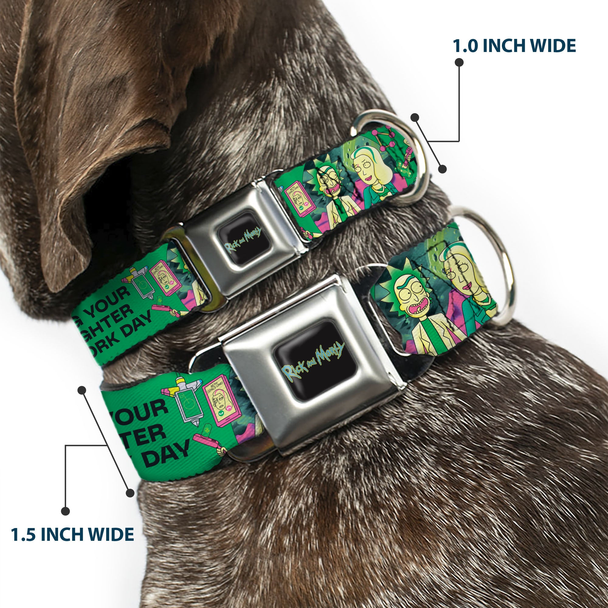 RICK AND MORTY Text Logo Full Color Black/Blue Seatbelt Buckle Collar - Rick with Beth BRING YOUR DAUGHTER TO WORK DAY Pose Greens Seatbelt Buckle Collars Rick and Morty