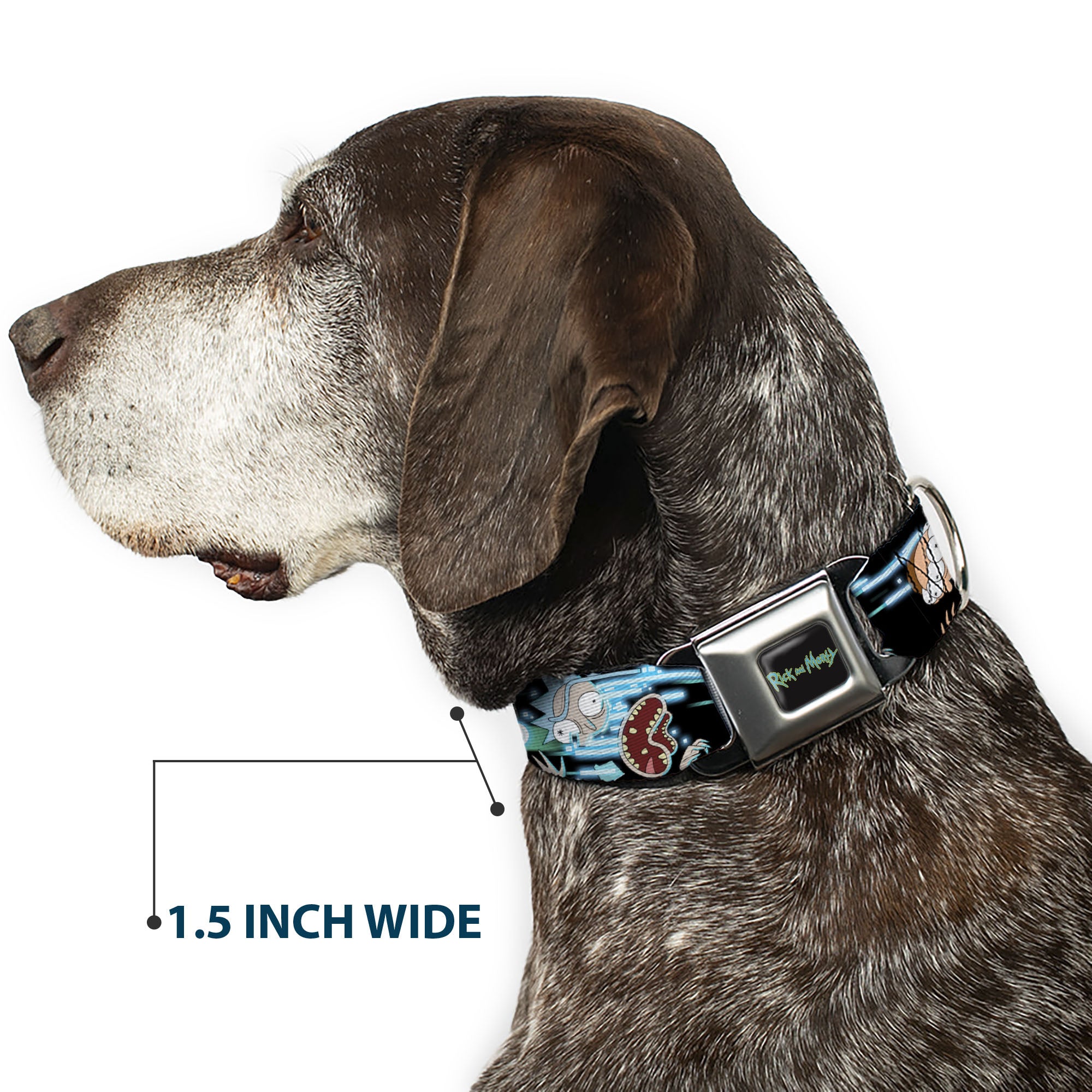 RICK AND MORTY Text Logo Full Color Black/Blue Seatbelt Buckle Collar - Rick and Morty Face Glitch Pose Black/Blues Seatbelt Buckle Collars Rick and Morty