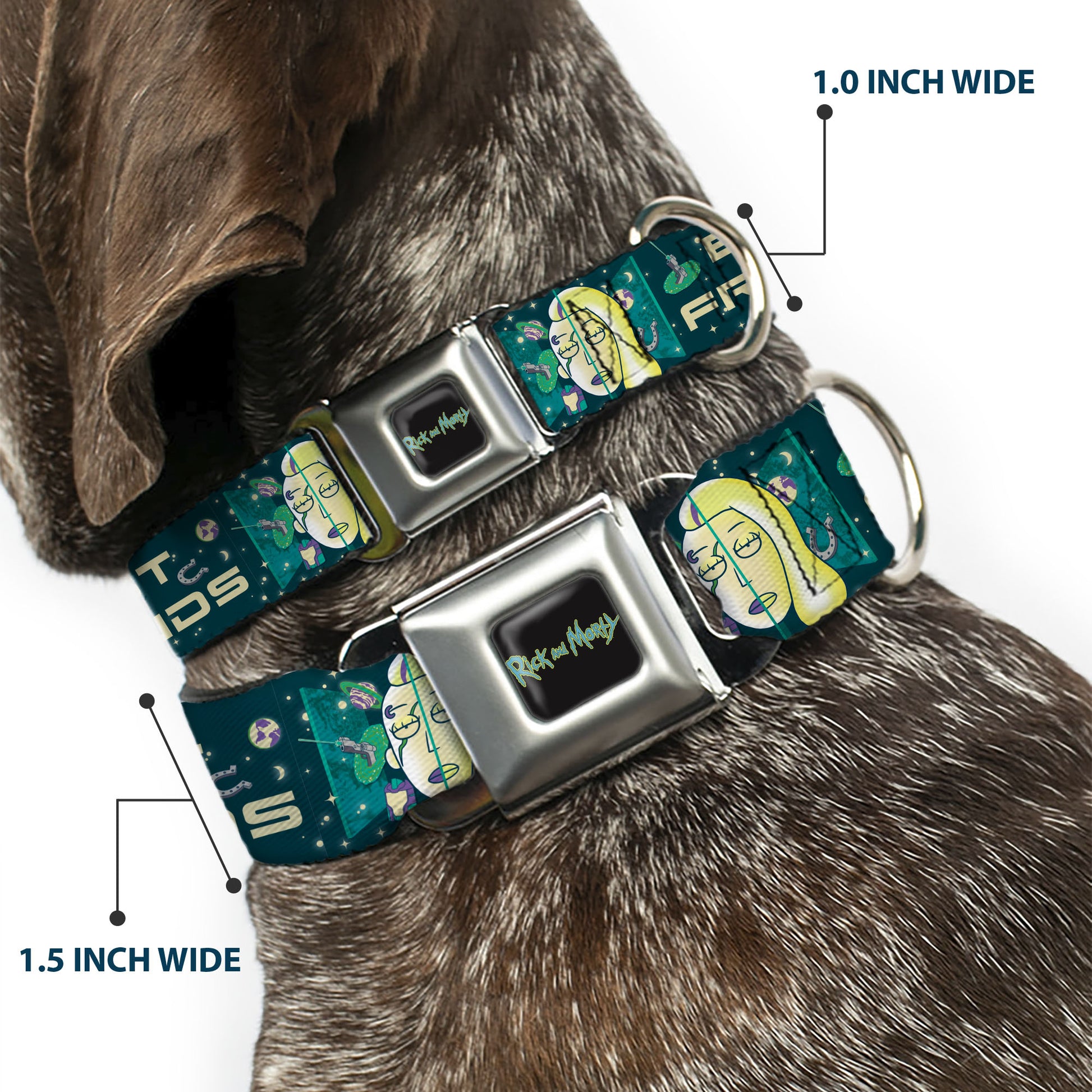 RICK AND MORTY Text Logo Full Color Black/Blue Seatbelt Buckle Collar - Rick and Morty Space Beth BEST FRIENDS Split Pose BlueGreens Seatbelt Buckle Collars Rick and Morty