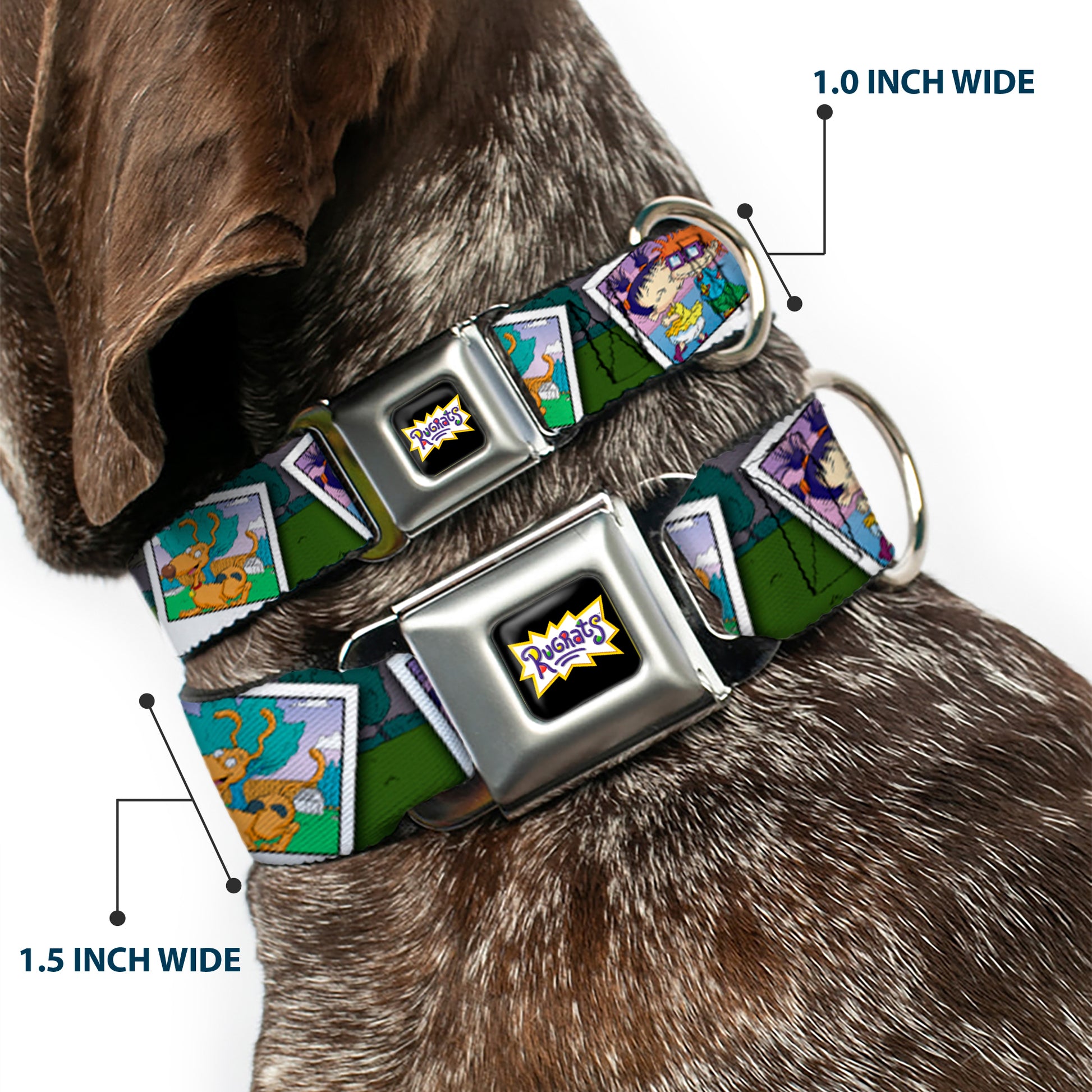 RUGRATS Logo Full Color Seatbelt Buckle Collar - RUGRATS Character Snapshots Seatbelt Buckle Collars Rugrats