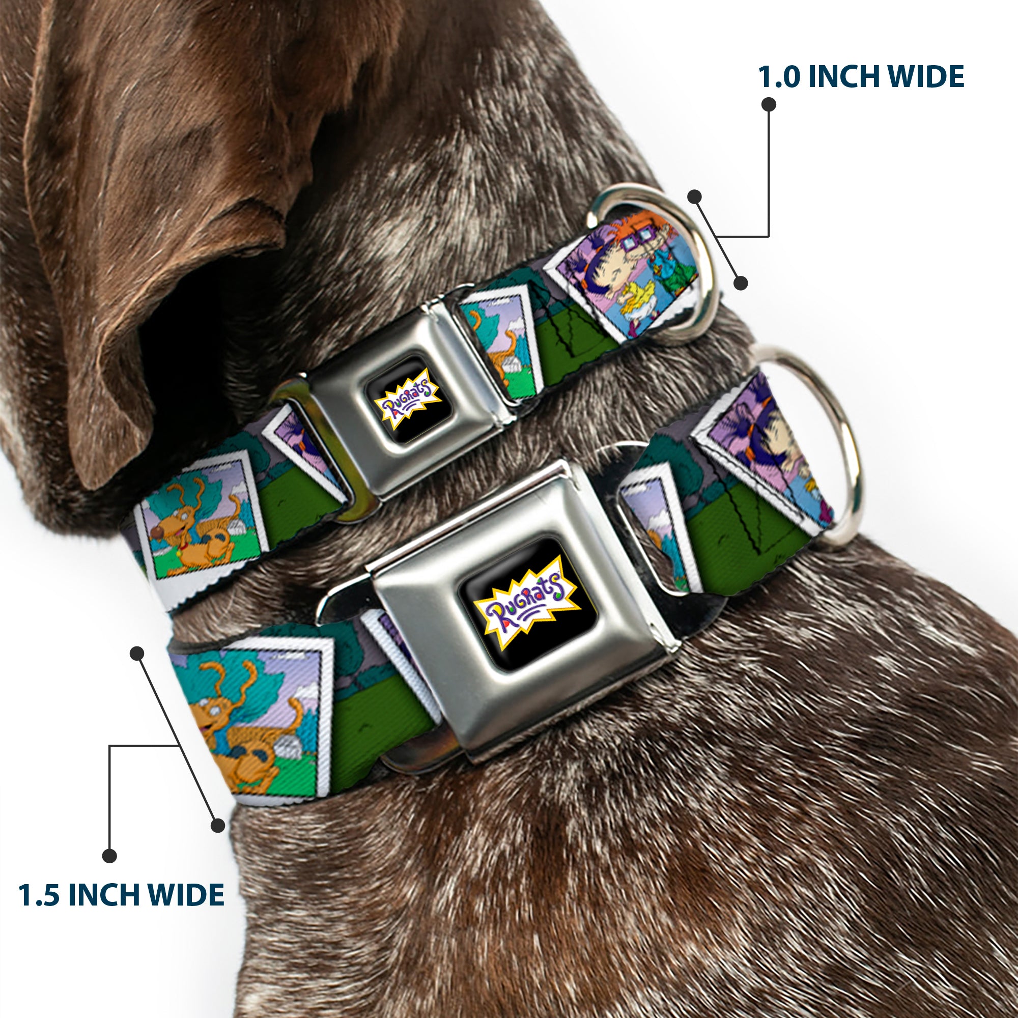 RUGRATS Logo Full Color Seatbelt Buckle Collar - RUGRATS Character Snapshots Seatbelt Buckle Collars Rugrats