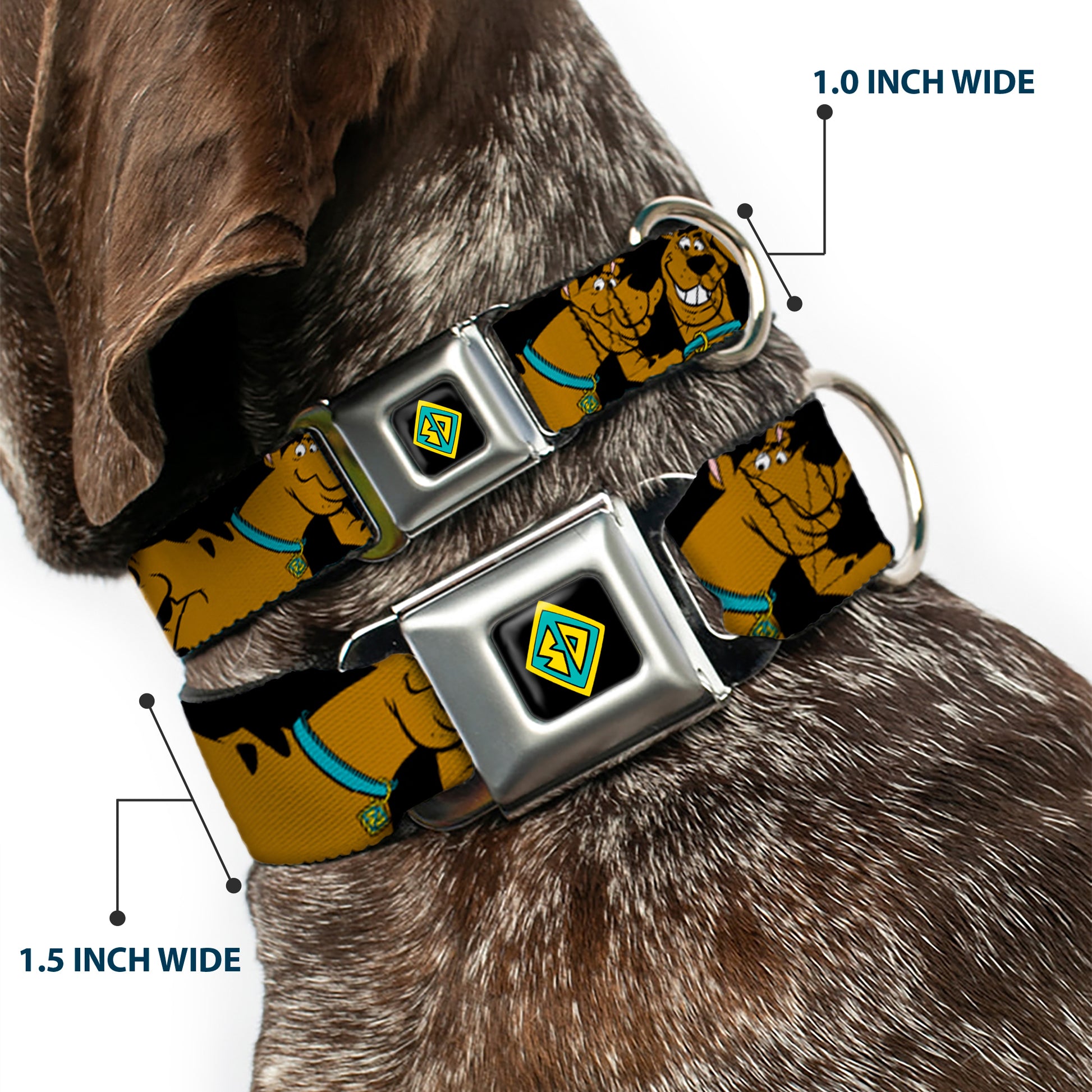 SD Dog Tag Full Color Black Yellow Blue Seatbelt Buckle Collar - Scooby Doo Stacked CLOSE-UP Black Seatbelt Buckle Collars Scooby Doo
