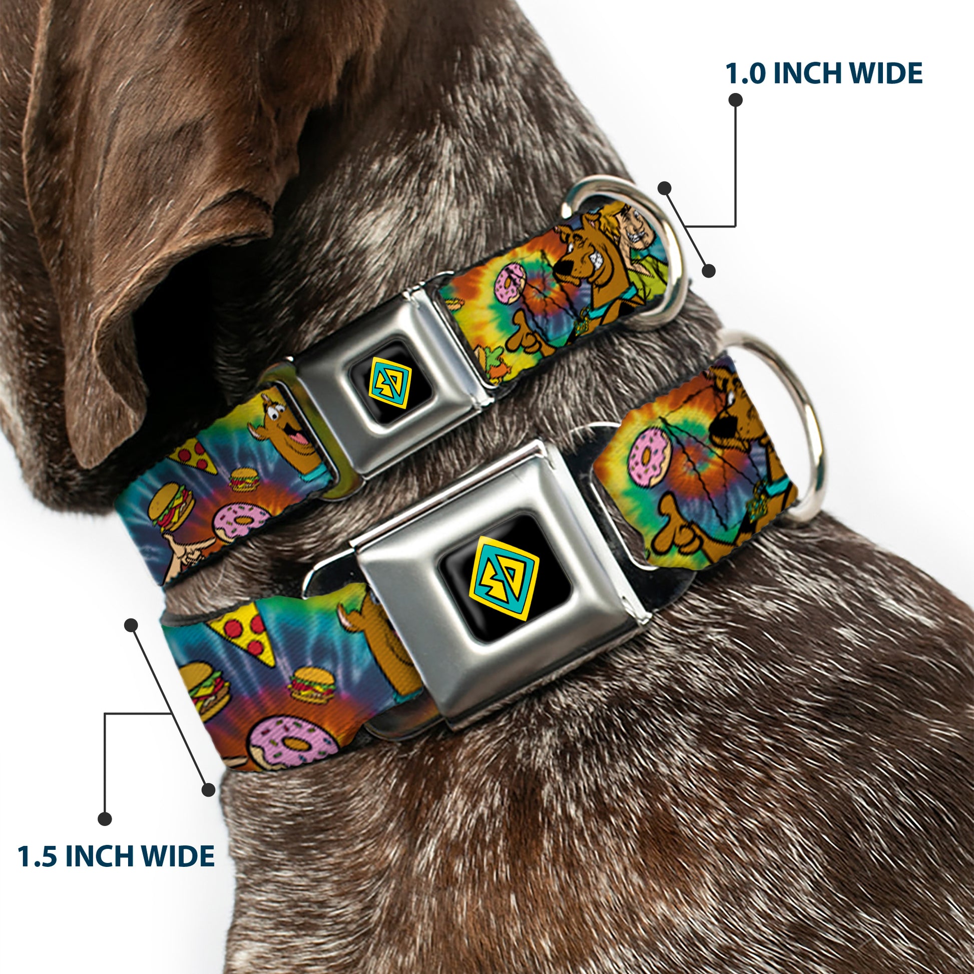 Scooby Doo Dog Tag Full Color Seatbelt Buckle Collar - Scooby Doo and Shaggy Poses/Munchies Tie Dye Multi Color Seatbelt Buckle Collars Scooby Doo