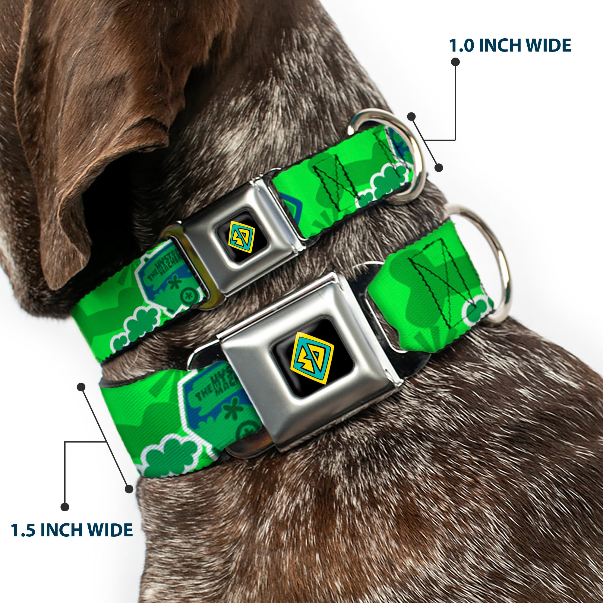 Scooby Doo Dog Tag Full Color Seatbelt Buckle Collar - Scooby Doo Mystery Machine/Dog Tag Collage Greens/Blues Seatbelt Buckle Collars Scooby Doo