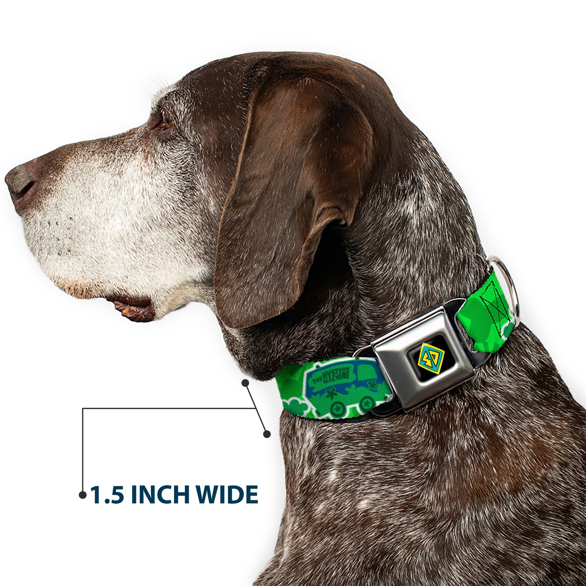 Scooby Doo Dog Tag Full Color Seatbelt Buckle Collar - Scooby Doo Mystery Machine/Dog Tag Collage Greens/Blues Seatbelt Buckle Collars Scooby Doo