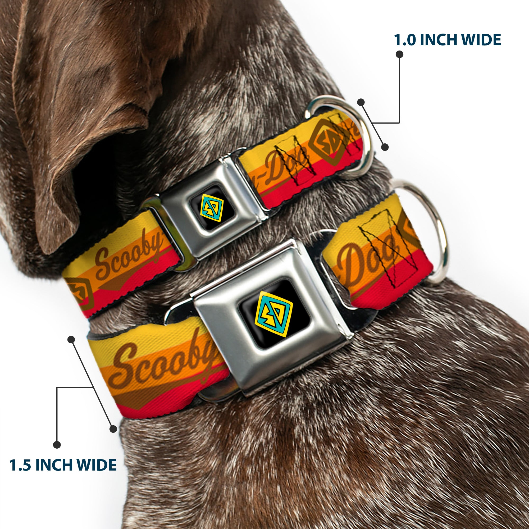 Scooby Doo Dog Tag Full Color Seatbelt Buckle Collar - SCOOBY-DOO Script/SD Icon Stripe Yellow/Orange/Red/Brown Seatbelt Buckle Collars Scooby Doo