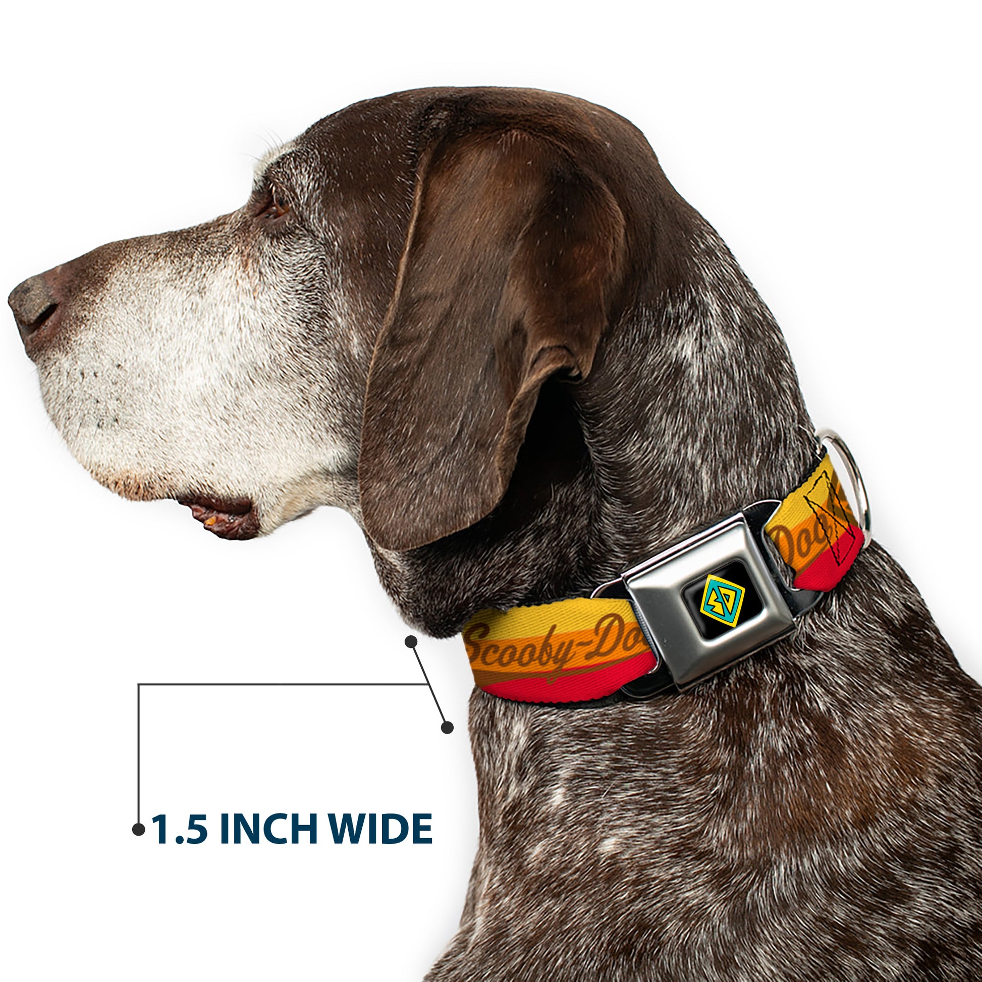 Scooby Doo Dog Tag Full Color Seatbelt Buckle Collar - SCOOBY-DOO Script/SD Icon Stripe Yellow/Orange/Red/Brown Seatbelt Buckle Collars Scooby Doo