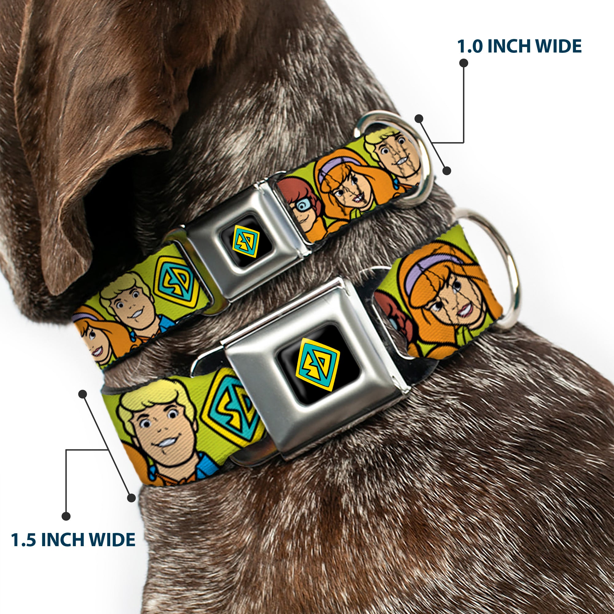 SD Dog Tag Full Color Black/Yellow/Blue Seatbelt Buckle Collar - Scooby Doo Character Faces Close-Up Green Seatbelt Buckle Collars Scooby Doo