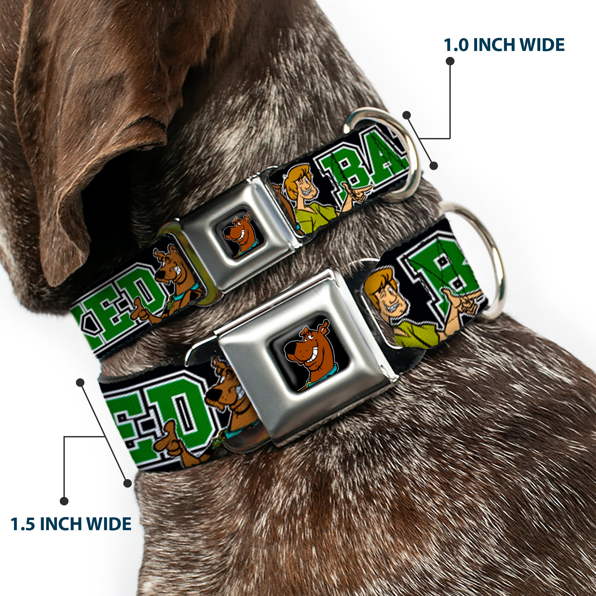 Scooby Doo Face Full Color Black Seatbelt Buckle Collar - Scooby Doo & Shaggy Pose/BAKED Black/Green Seatbelt Buckle Collars Scooby Doo