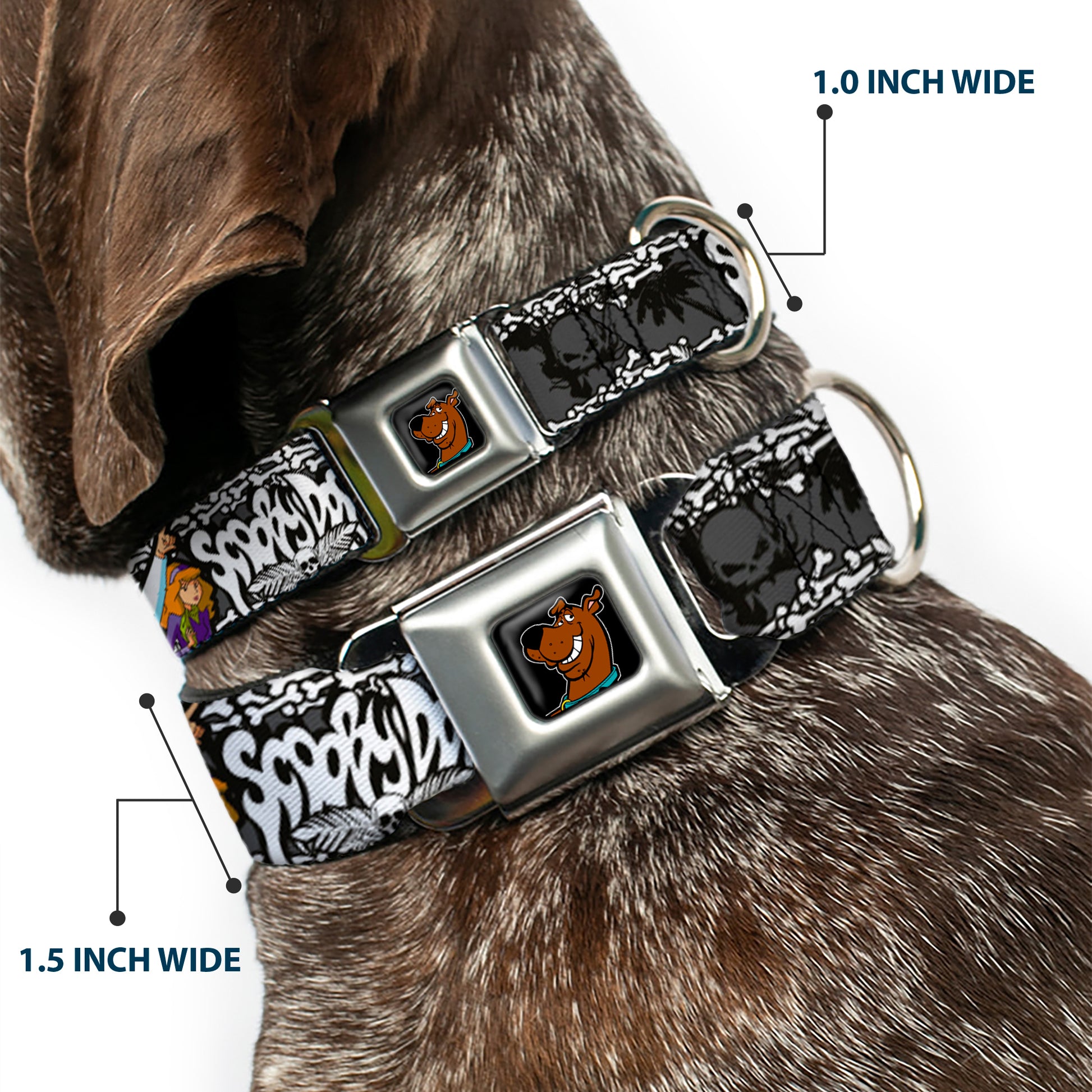 Scooby Doo Face Full Color Black Seatbelt Buckle Collar - SCOOBY DOO Group Pose/Bones Seatbelt Buckle Collars Scooby Doo