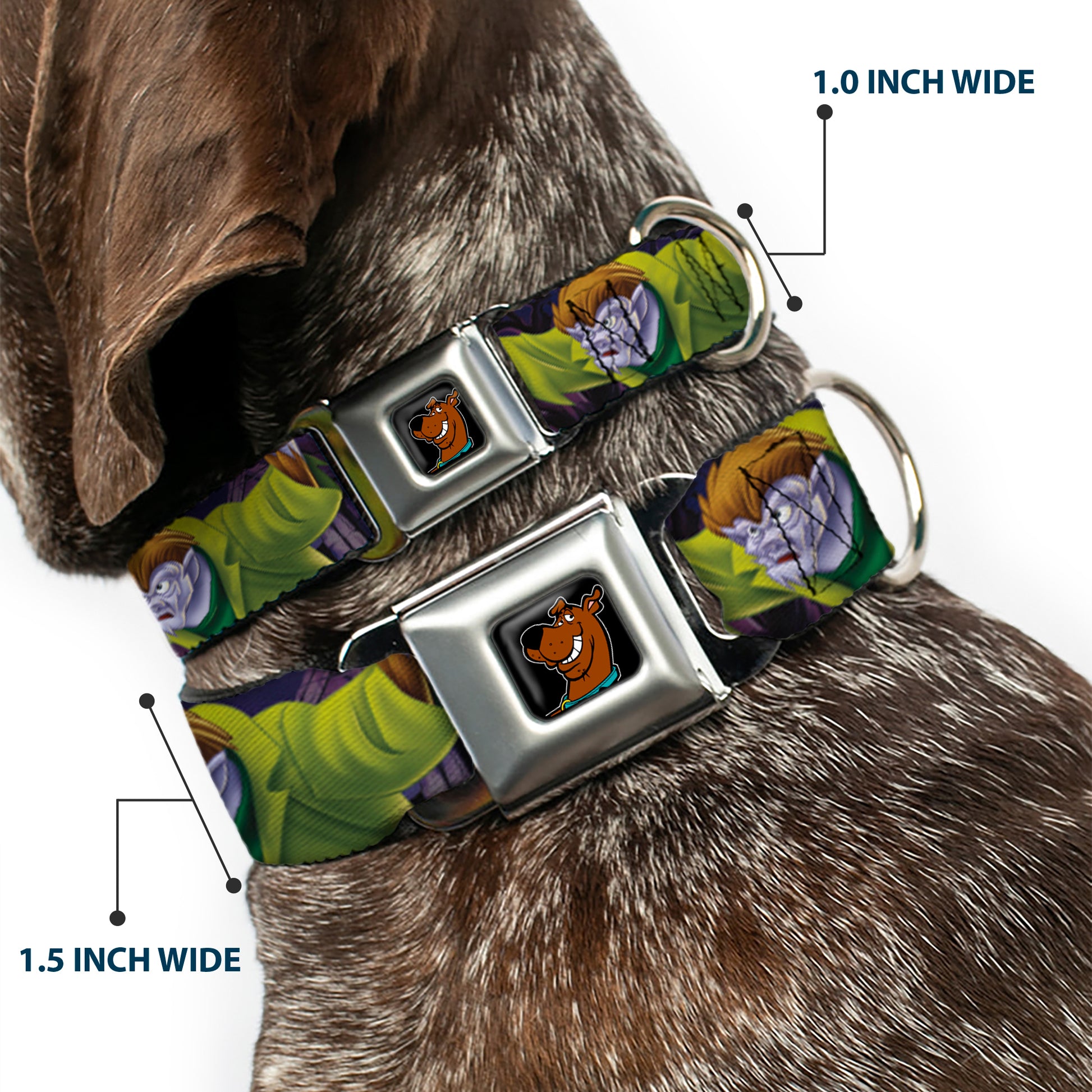 Scooby Doo Face Full Color Black Seatbelt Buckle Collar - Scooby & Shaggy Hugging w/Werewolf Man Purple Seatbelt Buckle Collars Scooby Doo