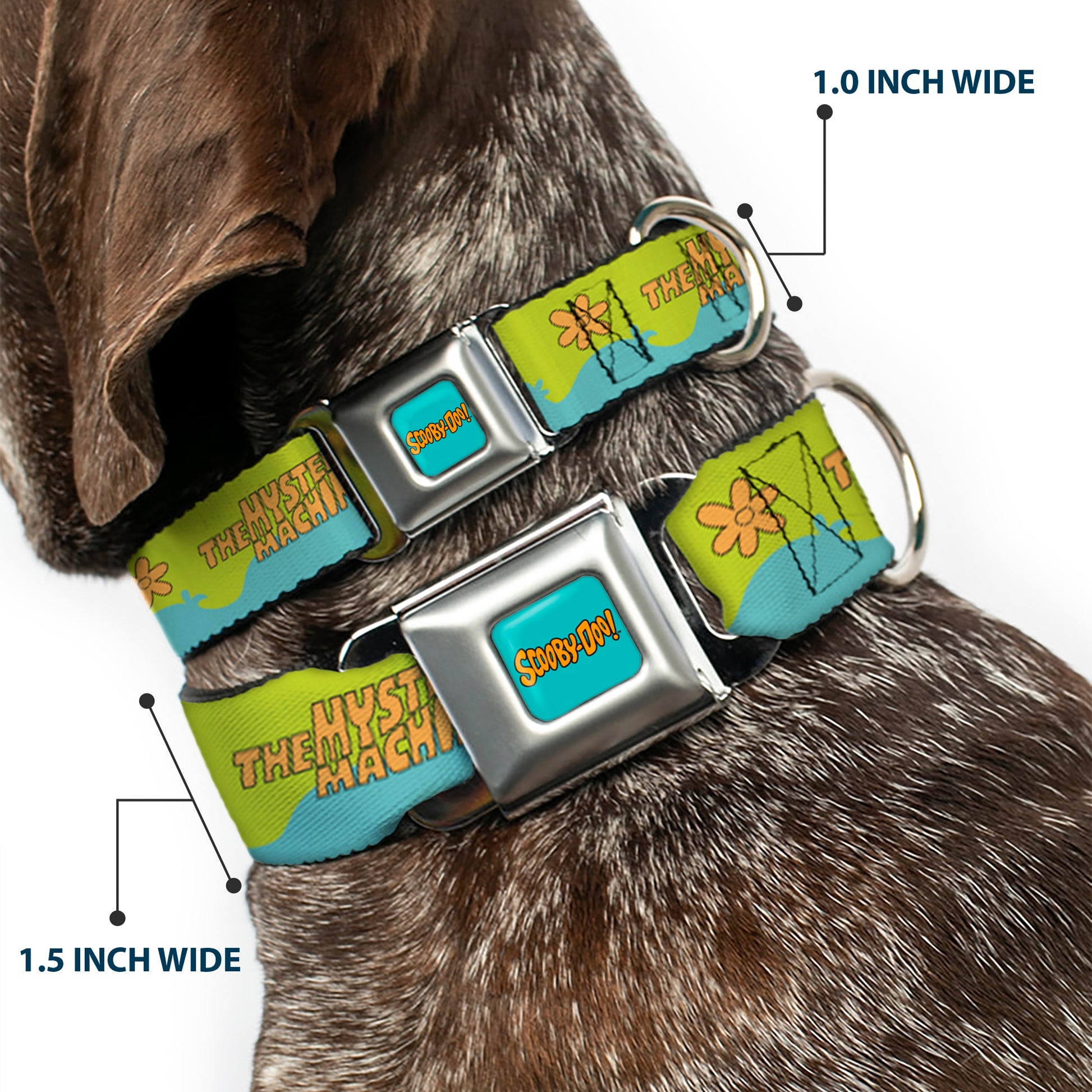 SCOOBY DOO! Text Logo Full Color Aqua/Orange Seatbelt Buckle Collar - Scooby Doo THE MYSTERY MACHINE Paint Job Green/Aqua/Orange Seatbelt Buckle Collars Scooby Doo