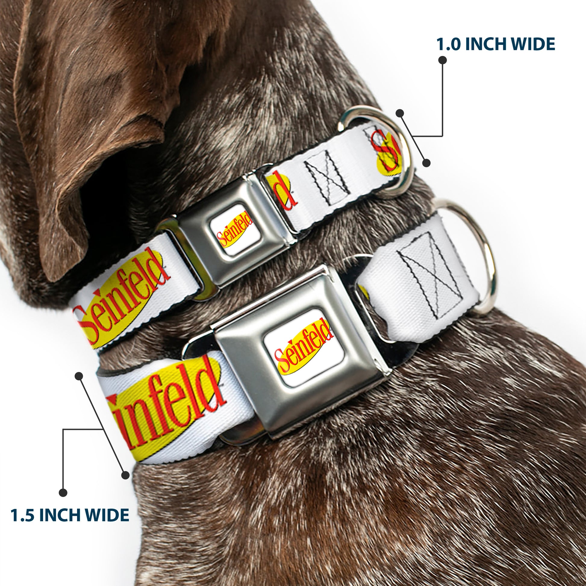 SEINFELD Spotlight Logo Full Color White/Yellow/Red Seatbelt Buckle Collar - SEINFELD Spotlight Logo White/Yellow/Red Seatbelt Buckle Collars Seinfeld