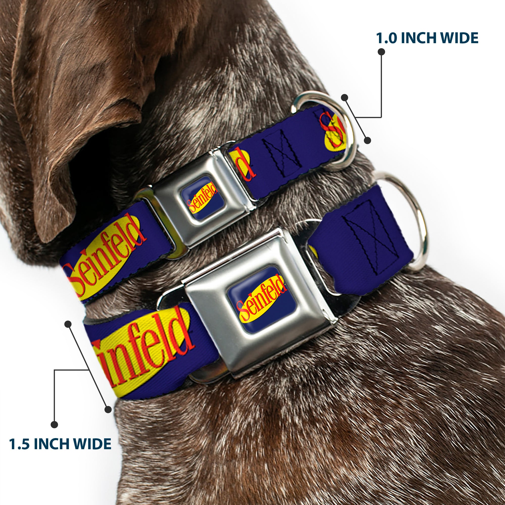SEINFELD Spotlight Logo Full Color Navy/Yellow/Red Seatbelt Buckle Collar - SEINFELD Spotlight Logo Navy/Yellow/Red Seatbelt Buckle Collars Seinfeld