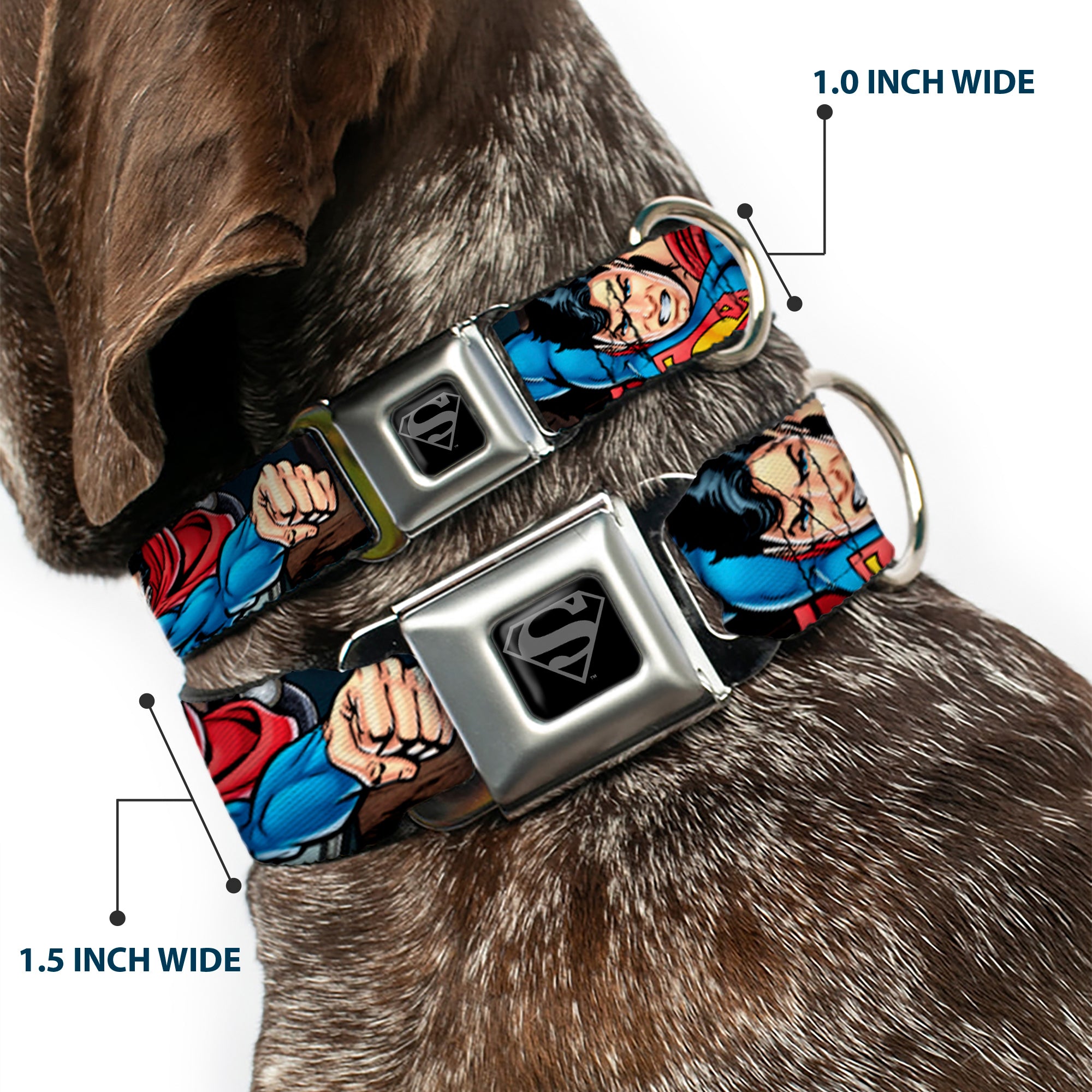 Superman Black/Silver Seatbelt Buckle Collar - Superman Metropolis Face-Off Seatbelt Buckle Collars DC Comics
