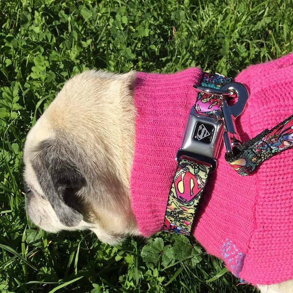 Superman Black Silver Seatbelt Buckle Collar - Supergirl Tattoo Scene Seatbelt Buckle Collars DC Comics