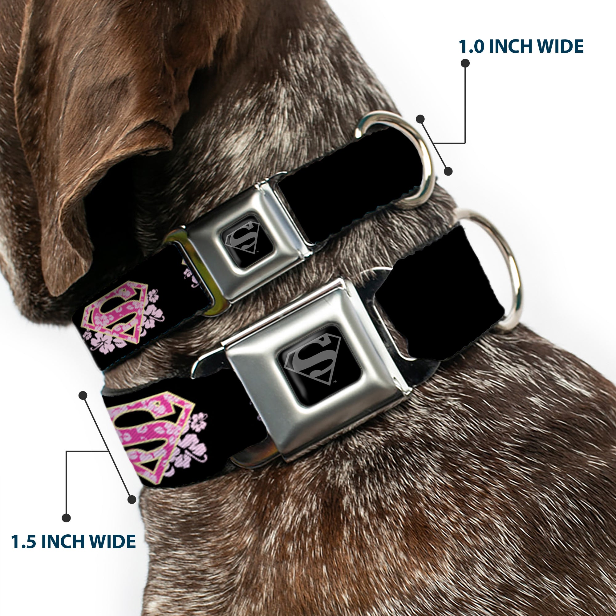Superman Black Silver Seatbelt Buckle Collar - Super Shield Hibiscus Design Black/Pink Seatbelt Buckle Collars DC Comics