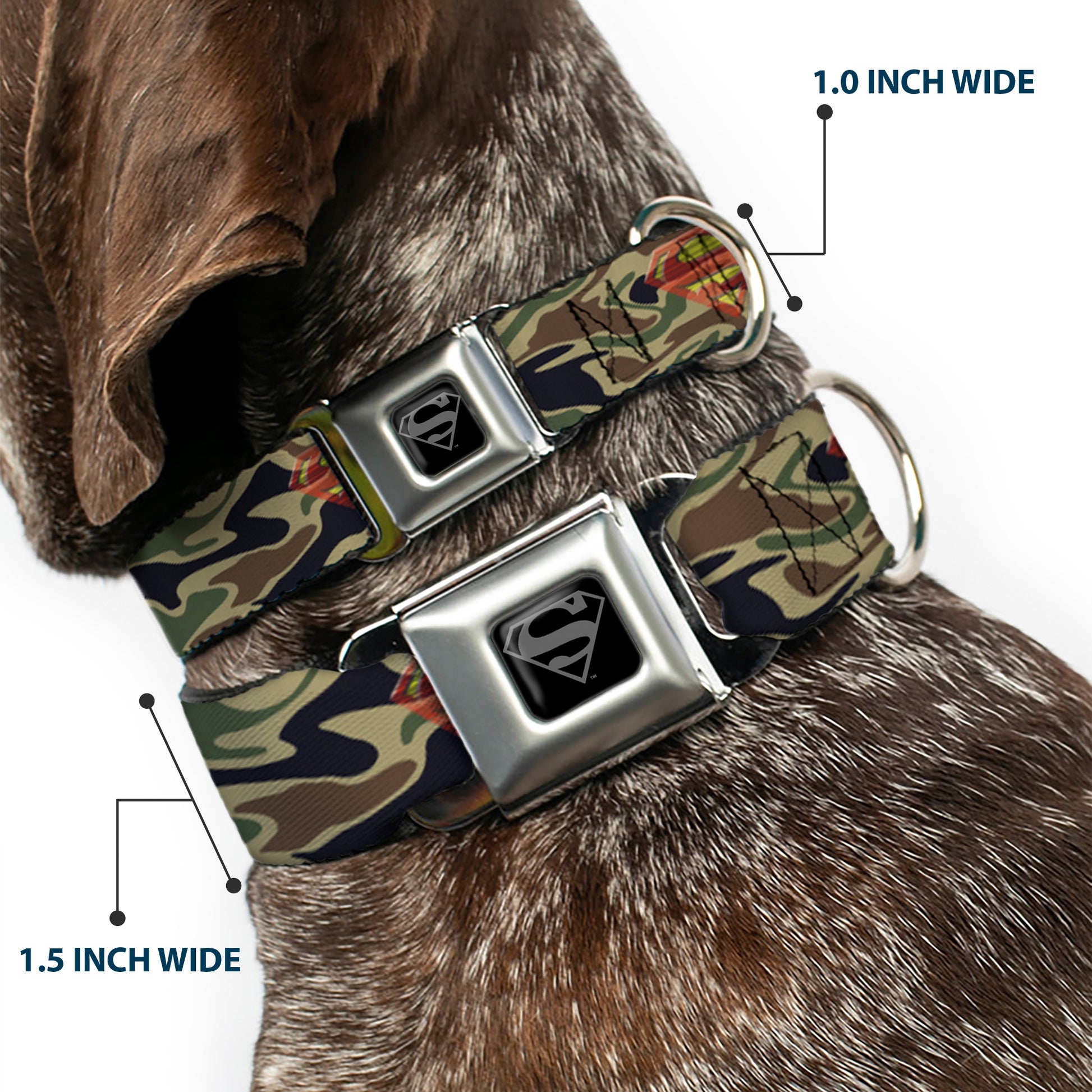 Superman Black Silver Seatbelt Buckle Collar - Superman Shield Camo Olive Seatbelt Buckle Collars DC Comics