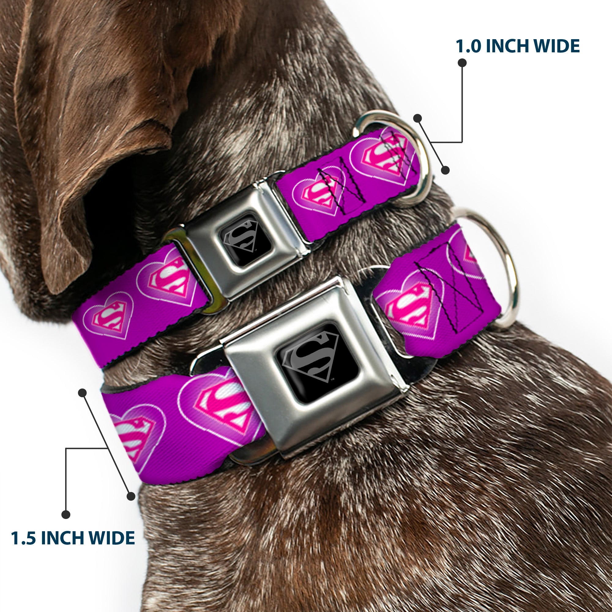 Superman Black Silver Seatbelt Buckle Collar - Superman Logo in Heart Purple/White/Pink Seatbelt Buckle Collars DC Comics