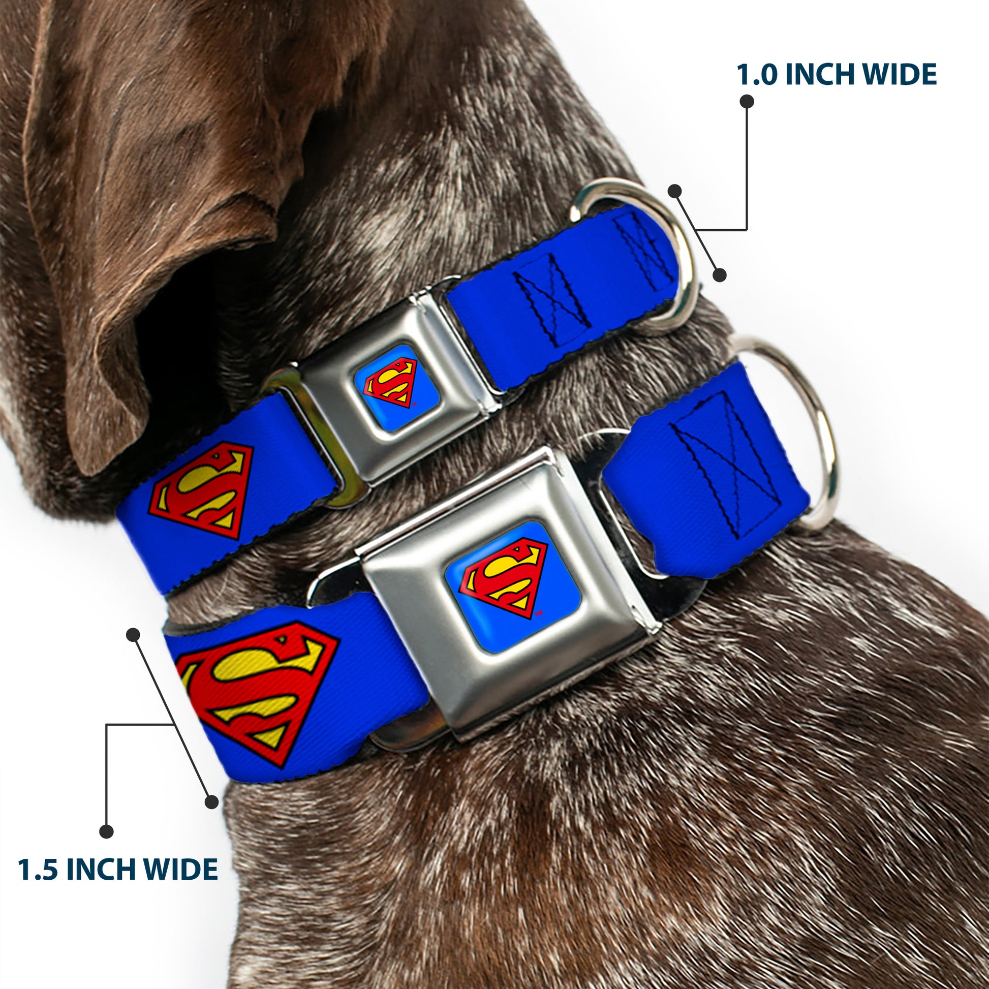 Superman Full Color Blue Seatbelt Buckle Collar - Superman Shield Blue Seatbelt Buckle Collars DC Comics