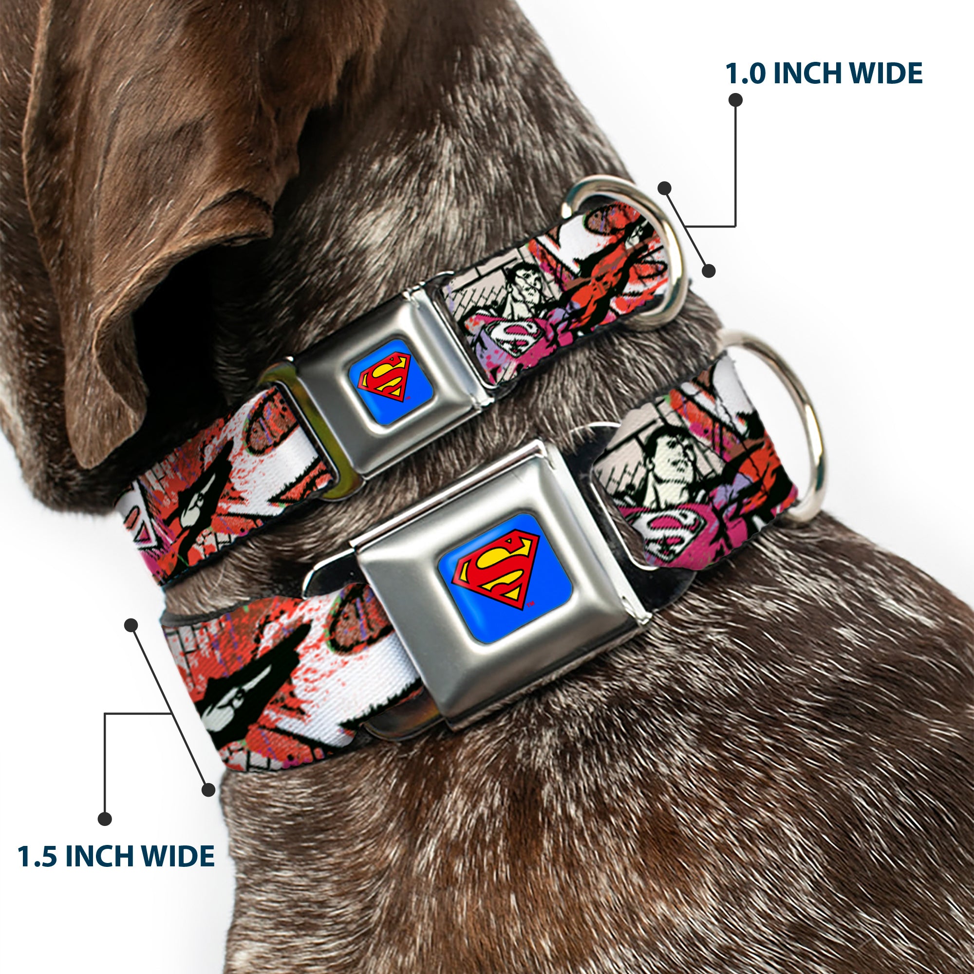Superman Full Color Blue Seatbelt Buckle Collar - Superman Color Flying Bricks Scene Seatbelt Buckle Collars DC Comics