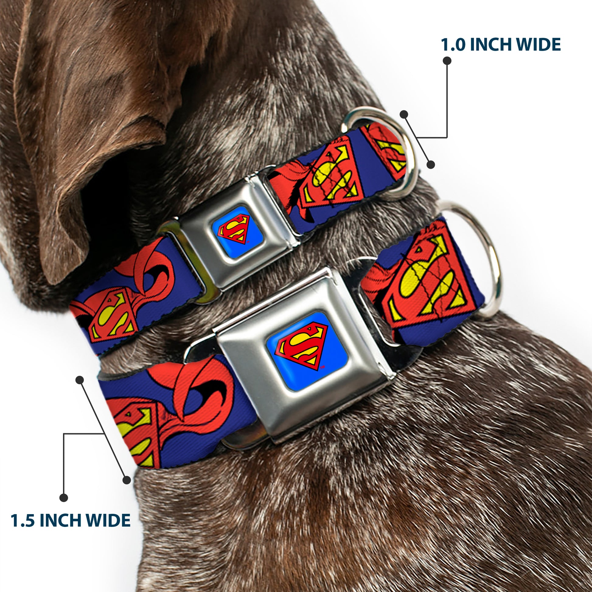 Superman Full Color Blue Seatbelt Buckle Collar - Superman Shield w/Cape Seatbelt Buckle Collars DC Comics