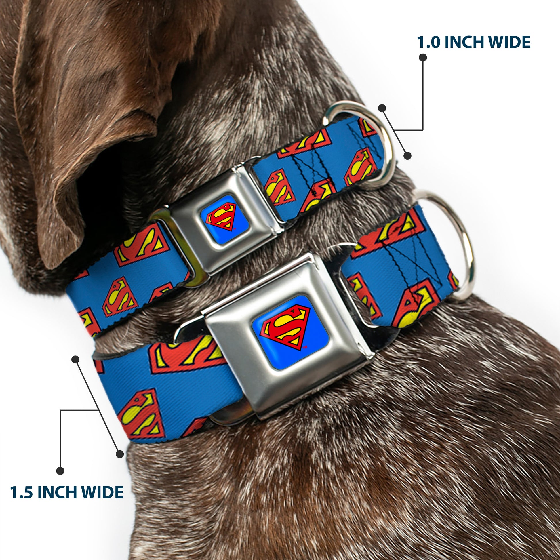 Superman Full Color Blue Seatbelt Buckle Collar - Super Shield Diagonal Royal Blue/Red Seatbelt Buckle Collars DC Comics
