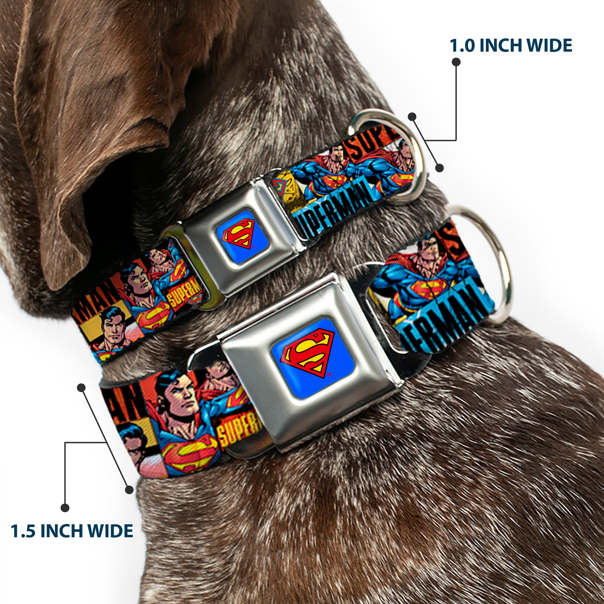 Superman Full Color Blue Seatbelt Buckle Collar - SUPERMAN Action Blocks Red/Blue Seatbelt Buckle Collars DC Comics