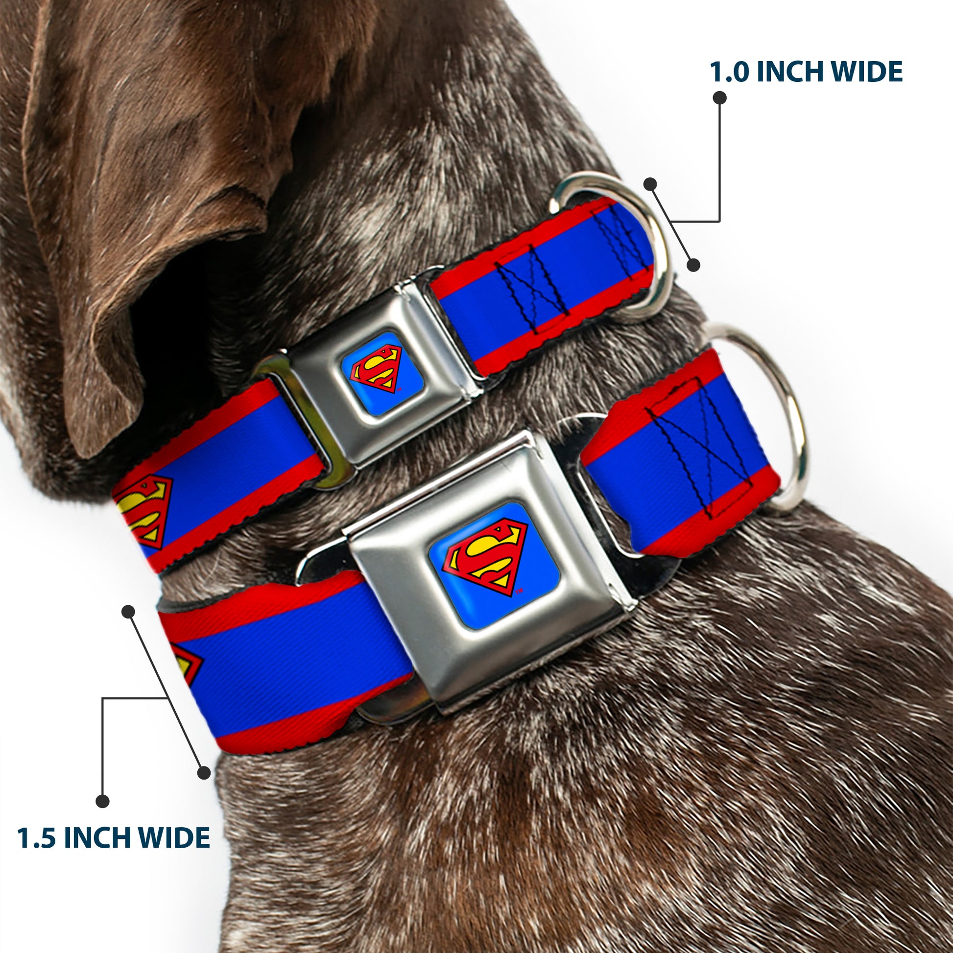 Superman Full Color Blue Seatbelt Buckle Collar - Superman Shield/Stripe Red/Blue Seatbelt Buckle Collars DC Comics