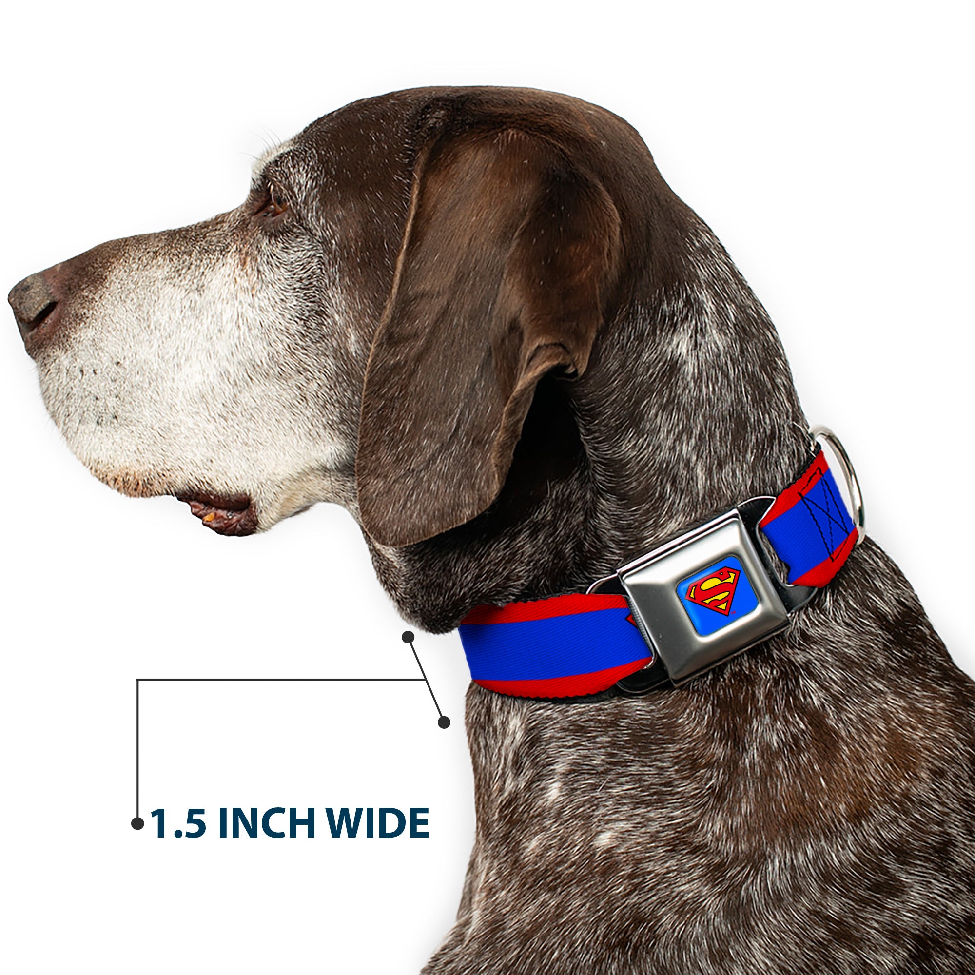 Superman Full Color Blue Seatbelt Buckle Collar - Superman Shield/Stripe Red/Blue Seatbelt Buckle Collars DC Comics