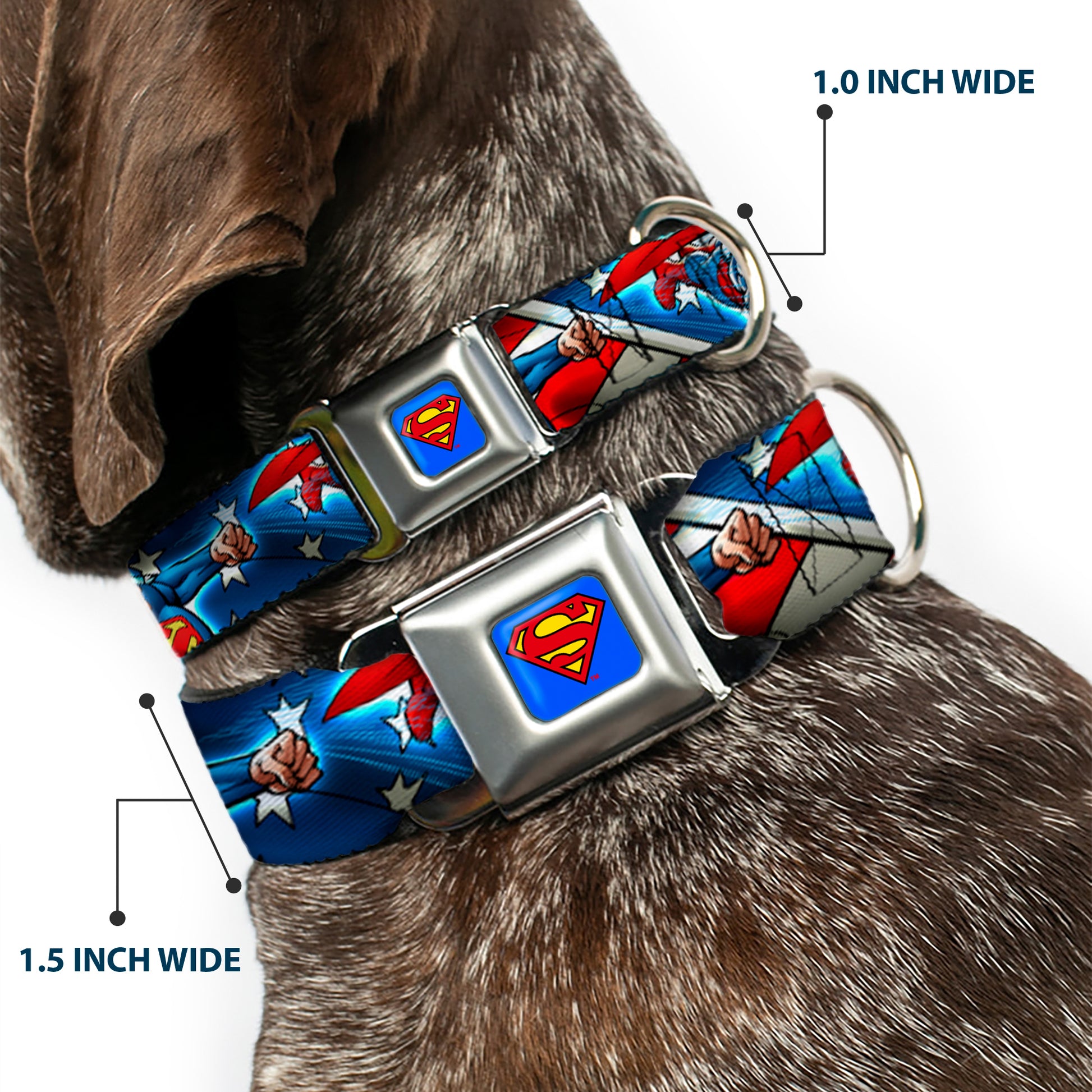 Superman Full Color Blue Seatbelt Buckle Collar - Superman Action Poses/Stars & Stripes Seatbelt Buckle Collars DC Comics