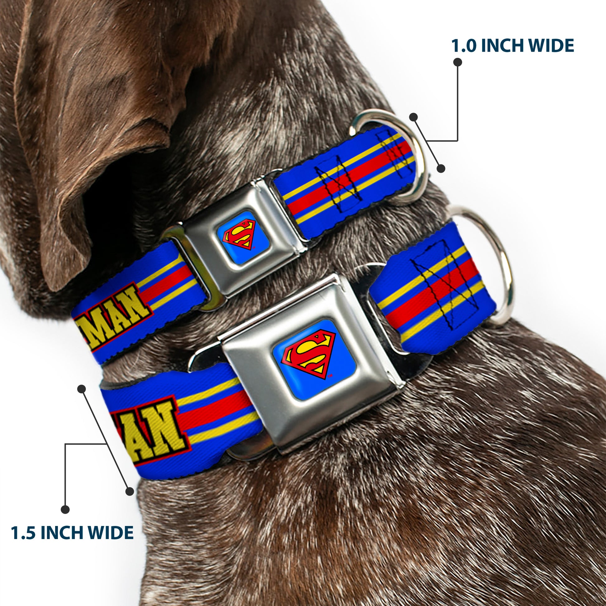 Superman Full Color Blue Seatbelt Buckle Collar - SUPERMAN/Shield Stripe Blue/Yellow/Red Seatbelt Buckle Collars DC Comics