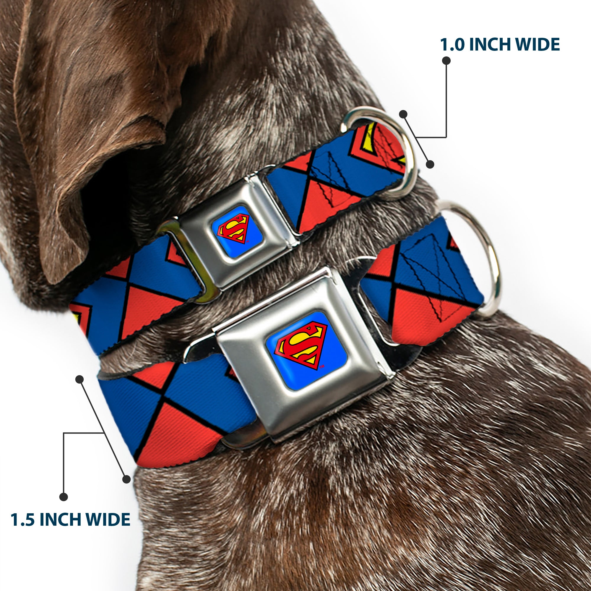 Superman Blue Seatbelt Buckle Collar - Superman Shield CLOSE-UP Blue/Red/Yellow Seatbelt Buckle Collars DC Comics