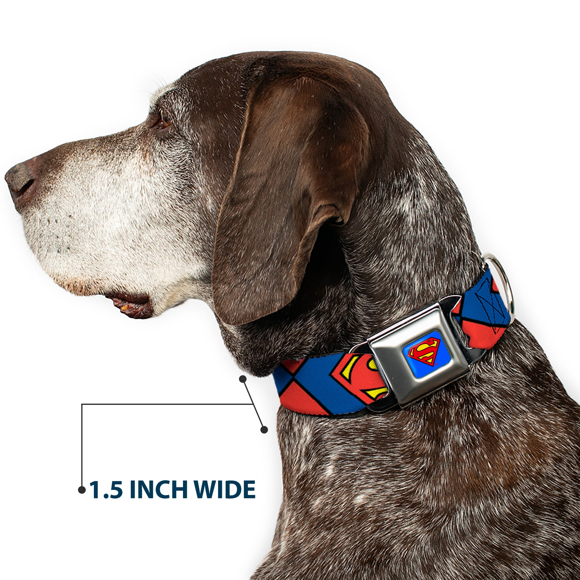 Superman Blue Seatbelt Buckle Collar - Superman Shield CLOSE-UP Blue/Red/Yellow Seatbelt Buckle Collars DC Comics