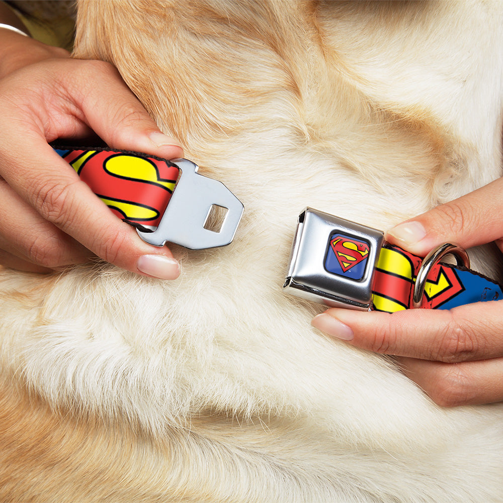 Superman Blue Seatbelt Buckle Collar - Superman Shield CLOSE-UP Blue/Red/Yellow Seatbelt Buckle Collars DC Comics