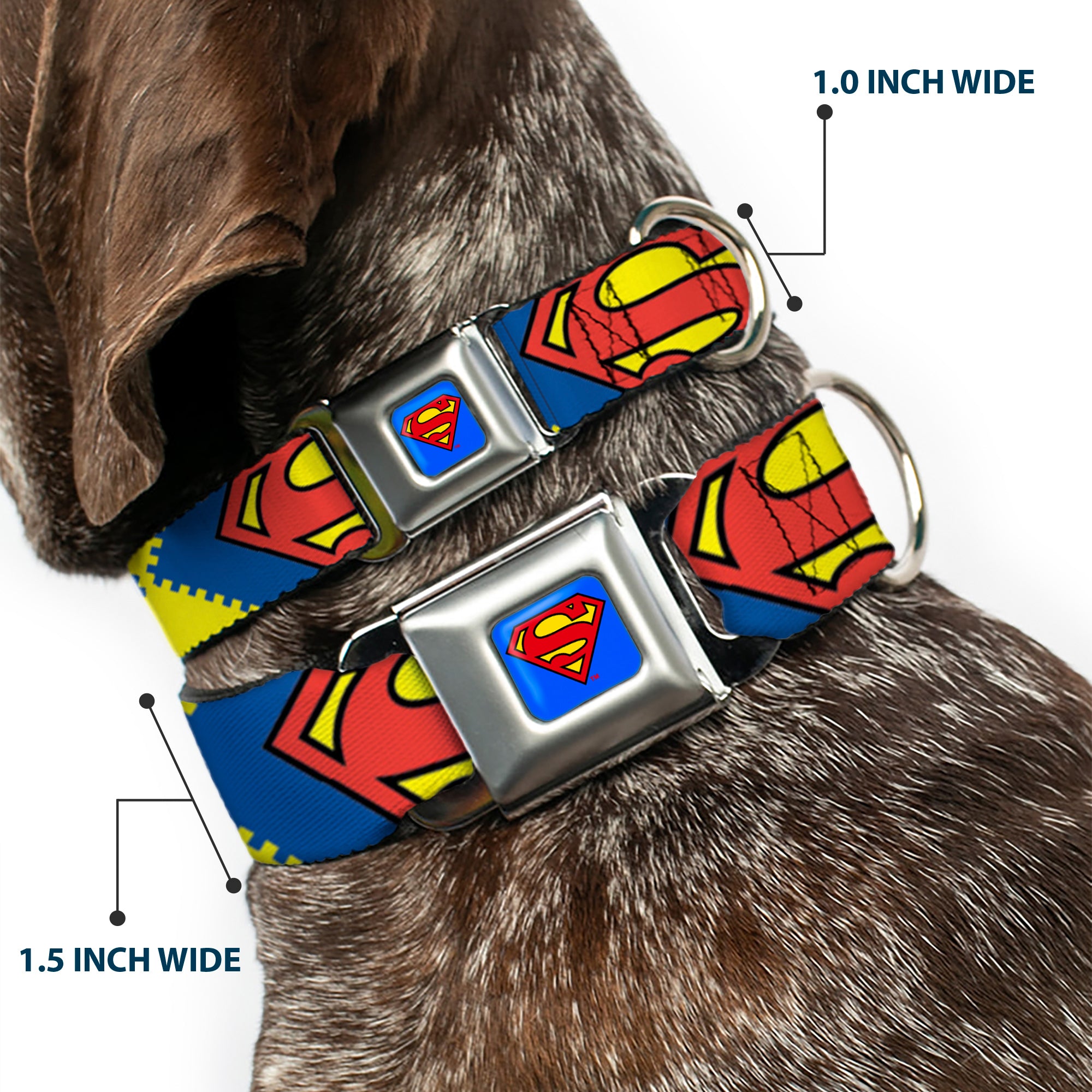 Superman Blue Seatbelt Buckle Collar - Jagged Superman Shield CLOSE-UP Yellow/Blue/Red Seatbelt Buckle Collars DC Comics