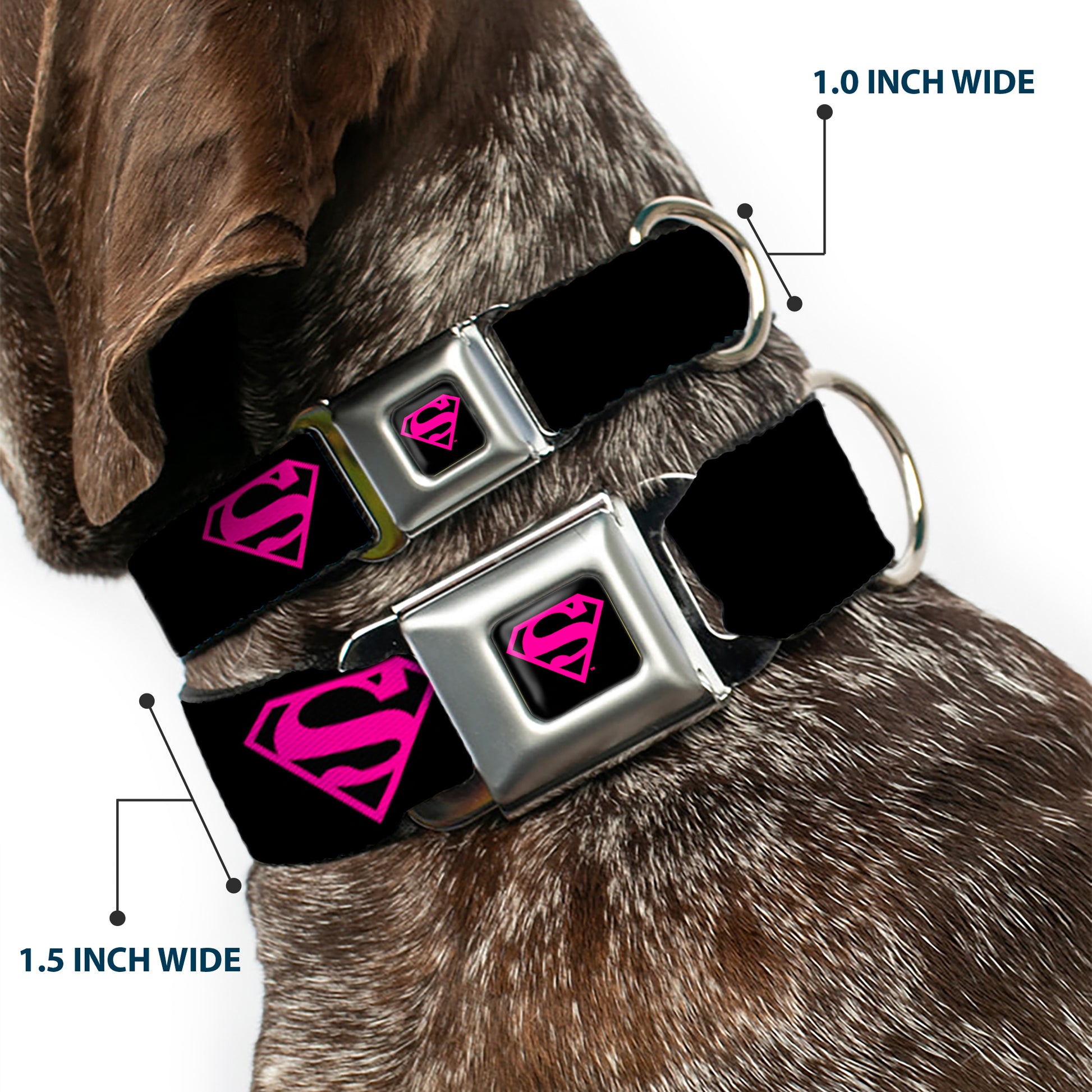 Superman Black/Hot Pink Seatbelt Buckle Collar - Superman Shield Black/Hot Pink Seatbelt Buckle Collars DC Comics