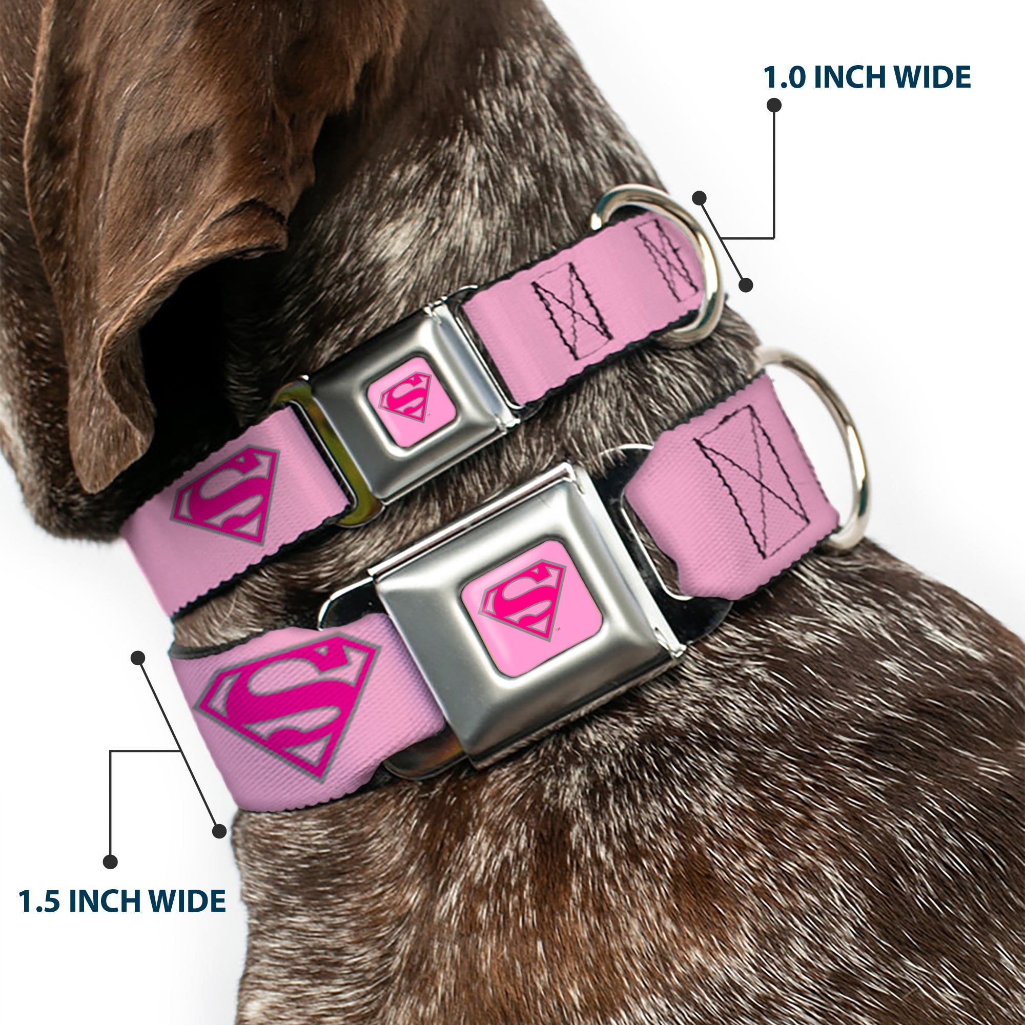 Superman Full Color Pink Seatbelt Buckle Collar - Superman Shield Pink Seatbelt Buckle Collars DC Comics