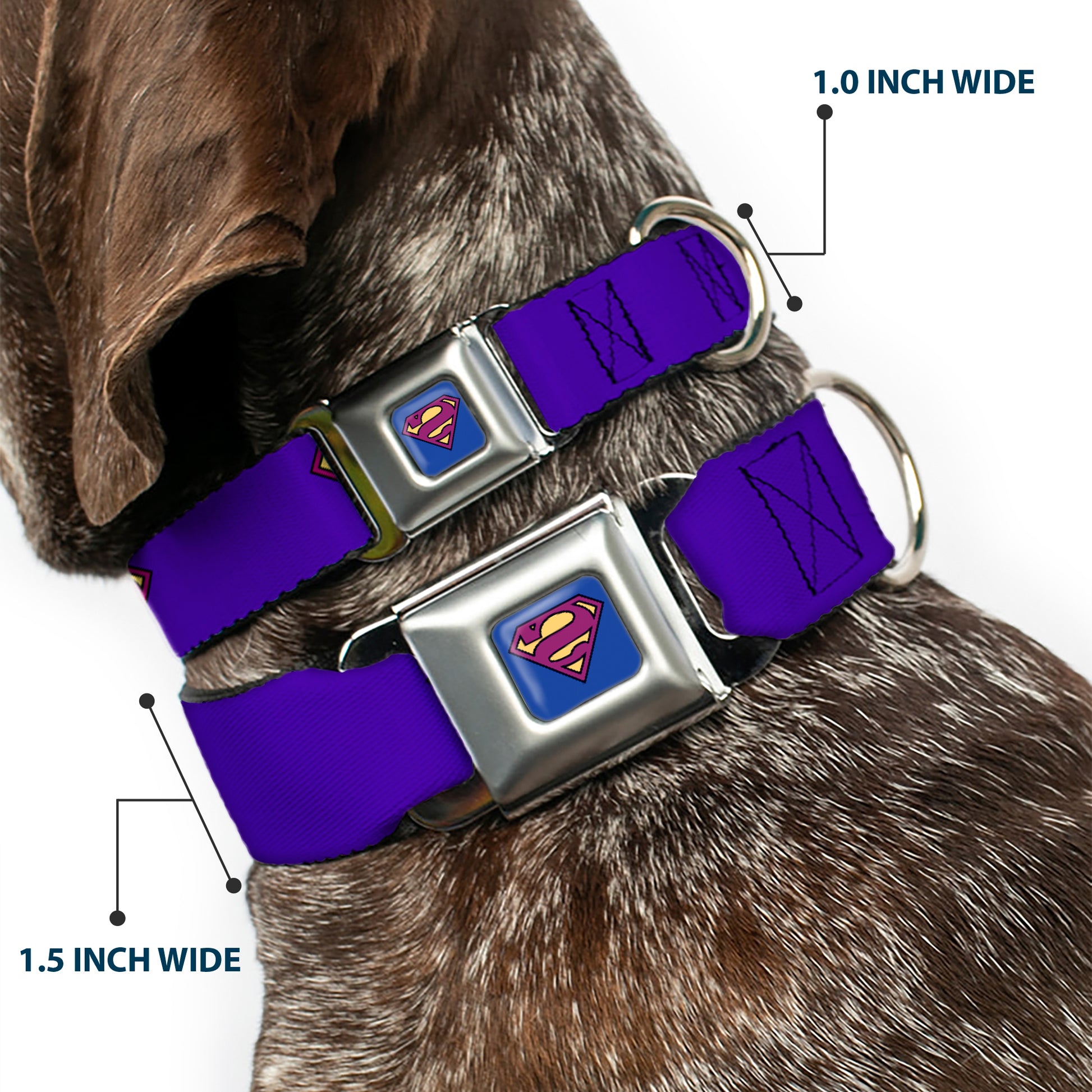 Bizzaro Logo Full Color Blue Seatbelt Buckle Collar - Bizzaro Logo w/Bizzaro Pose Seatbelt Buckle Collars DC Comics