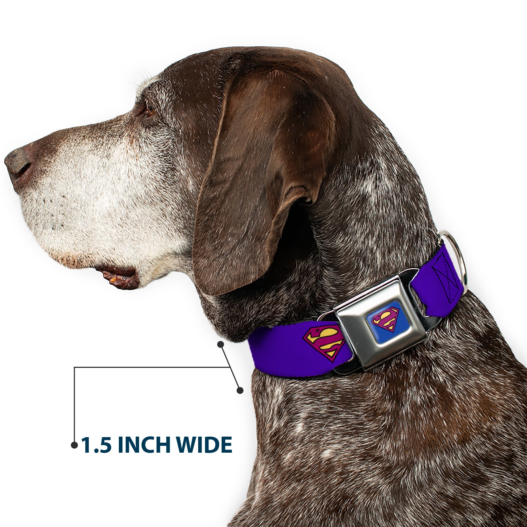 Bizzaro Logo Full Color Blue Seatbelt Buckle Collar - Bizzaro Logo w/Bizzaro Pose Seatbelt Buckle Collars DC Comics