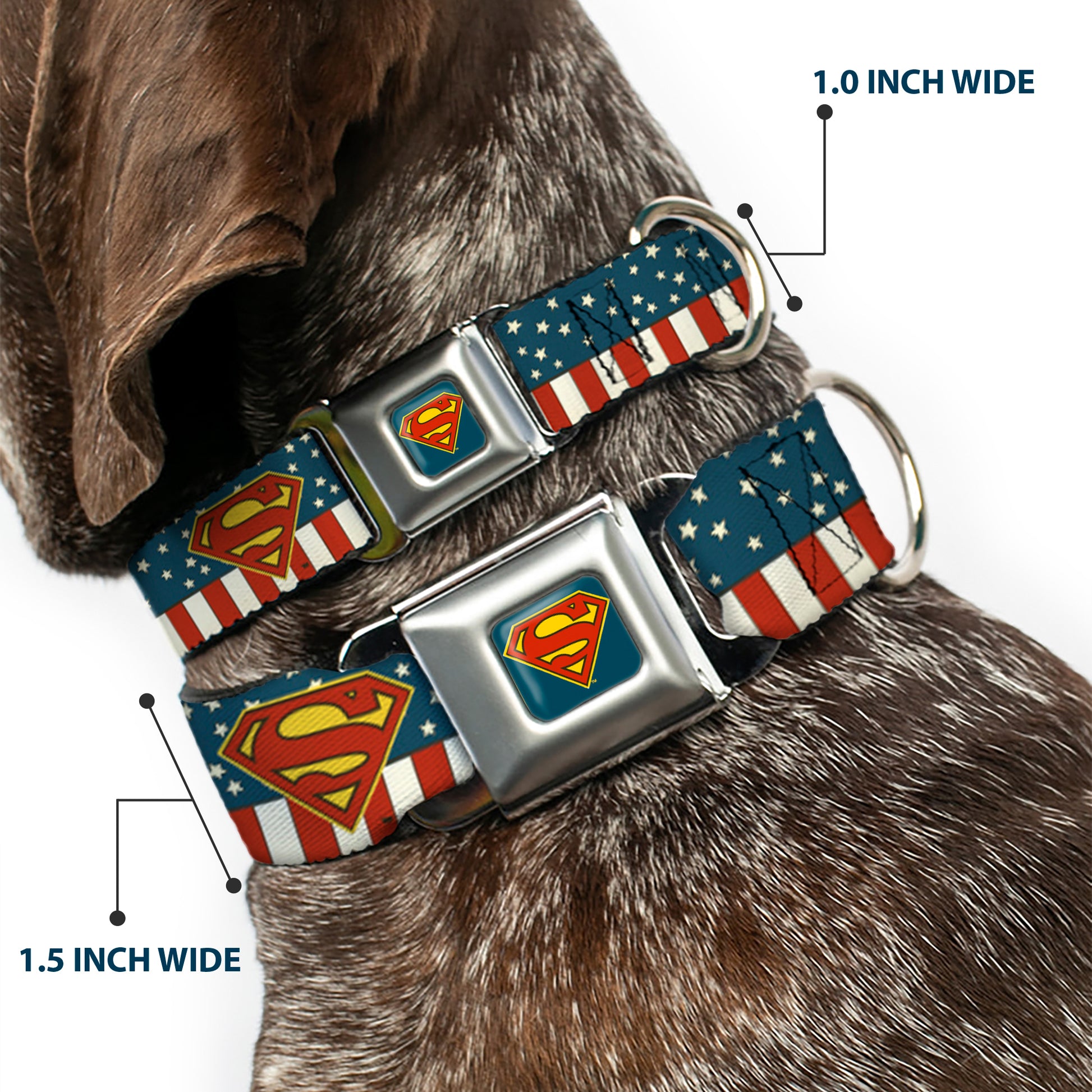 Superman Shield Full Color Americana Blue Seatbelt Buckle Collar - Superman Shield Americana Red/White/Blue/Yellow Seatbelt Buckle Collars DC Comics