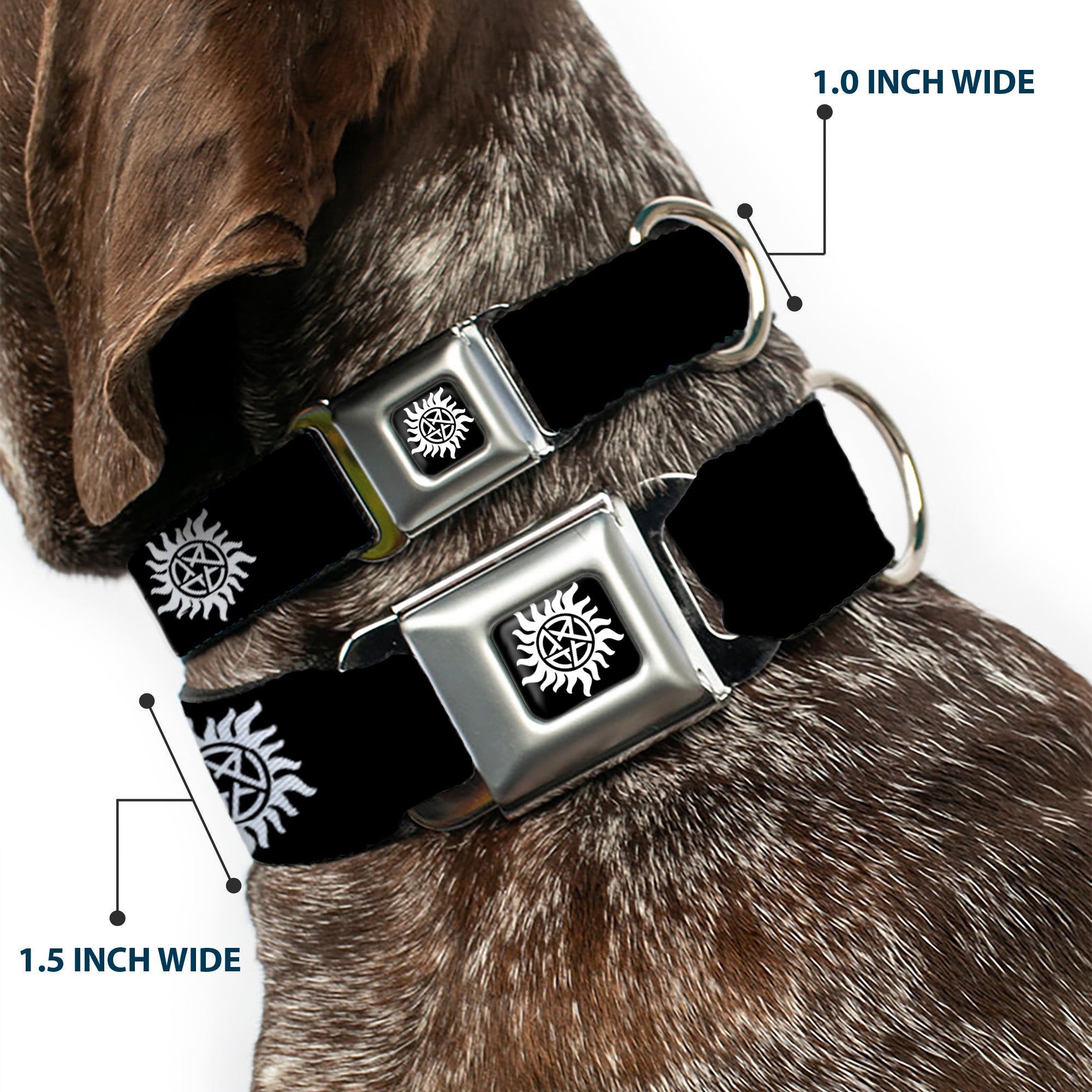 Winchester Logo Full Color Black White Seatbelt Buckle Collar - Winchester Pentagram Repeat Black/White Seatbelt Buckle Collars Supernatural