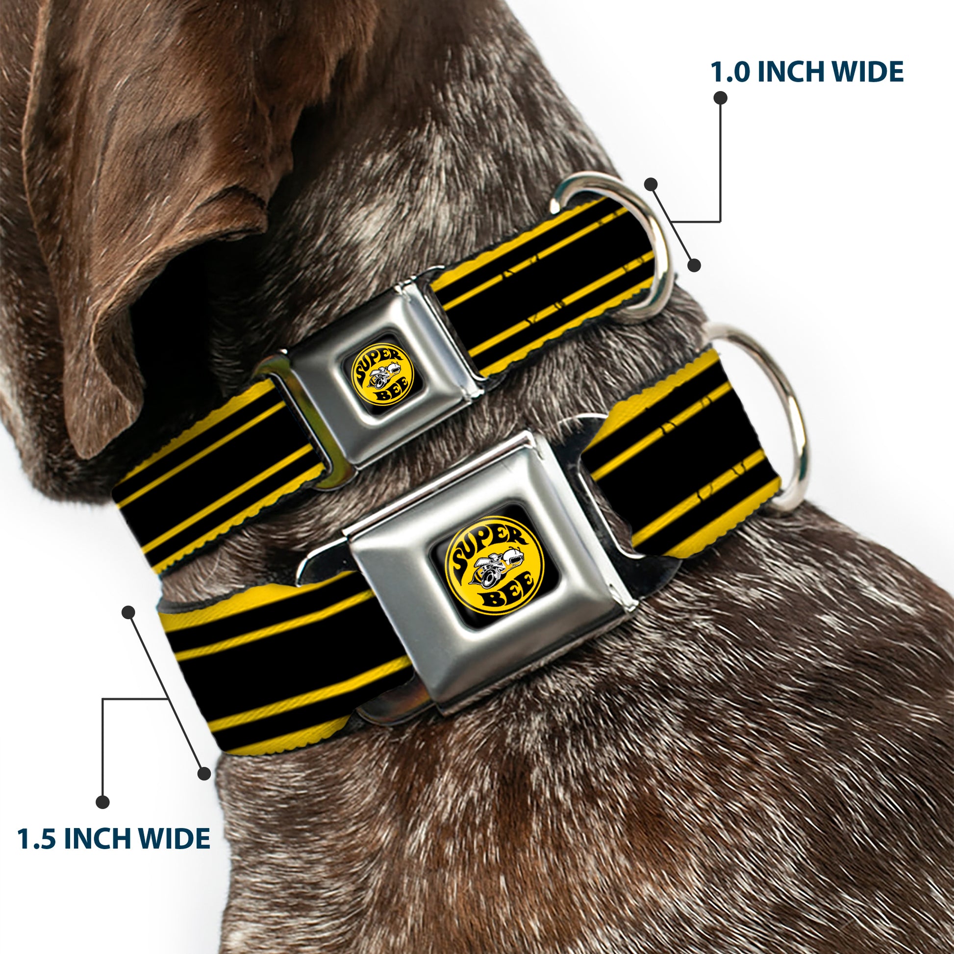 SUPER BEE Logo Full Color Black/Yellow/White Seatbelt Buckle Collar - SUPER BEE Logo/Stripes Black/Yellow/White Seatbelt Buckle Collars Dodge