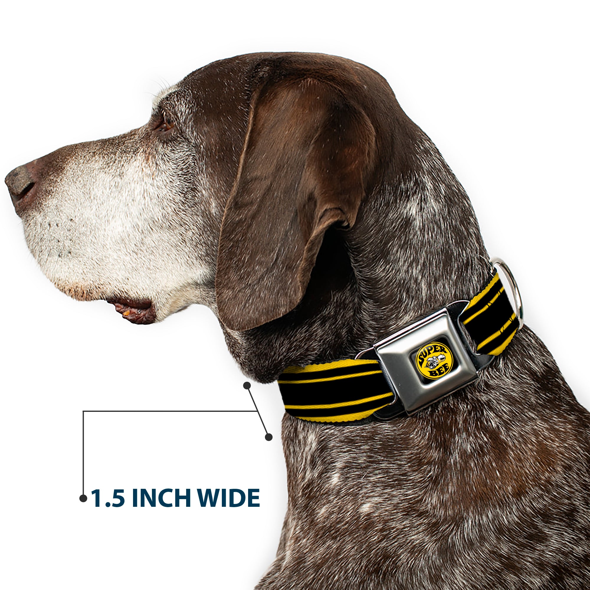 SUPER BEE Logo Full Color Black/Yellow/White Seatbelt Buckle Collar - SUPER BEE Logo/Stripes Black/Yellow/White Seatbelt Buckle Collars Dodge