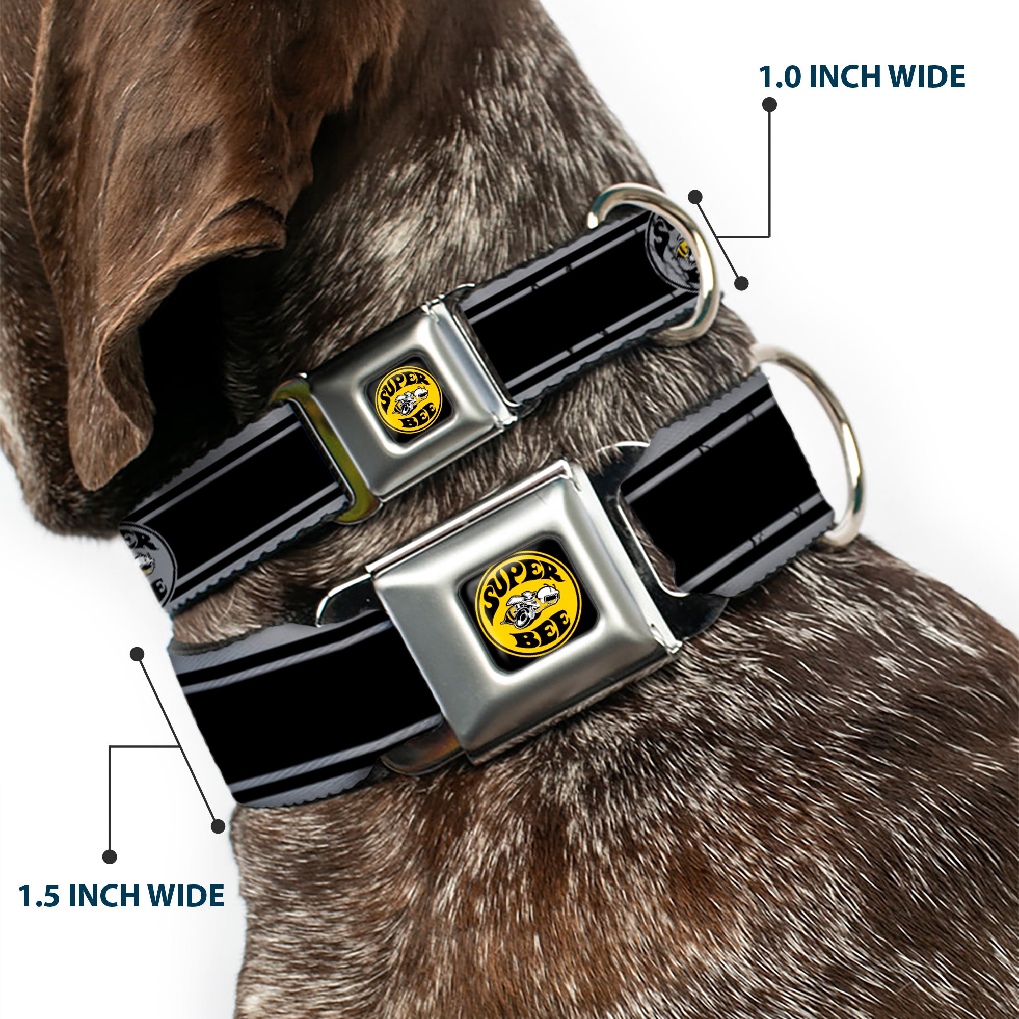 SUPER BEE Logo Full Color Black/Yellow/White Seatbelt Buckle Collar - SUPER BEE Logo/Stripes Black/Gray/Yellow/White Seatbelt Buckle Collars Dodge
