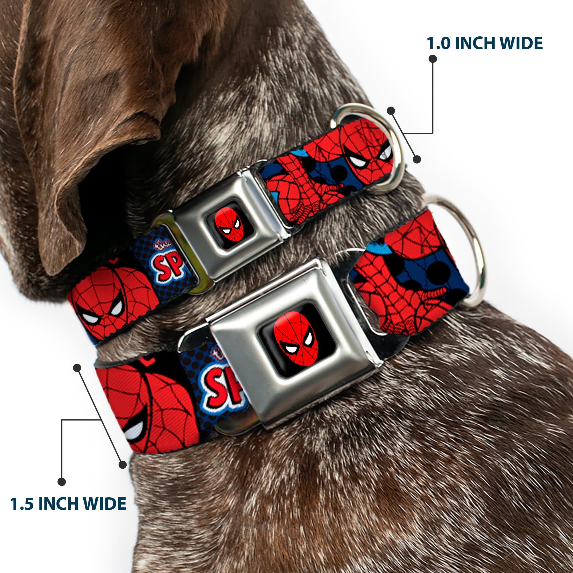 MARVEL UNIVERSE Spider-Man Full Color Seatbelt Buckle Collar - Amazing Spider-Man Seatbelt Buckle Collars Marvel Comics