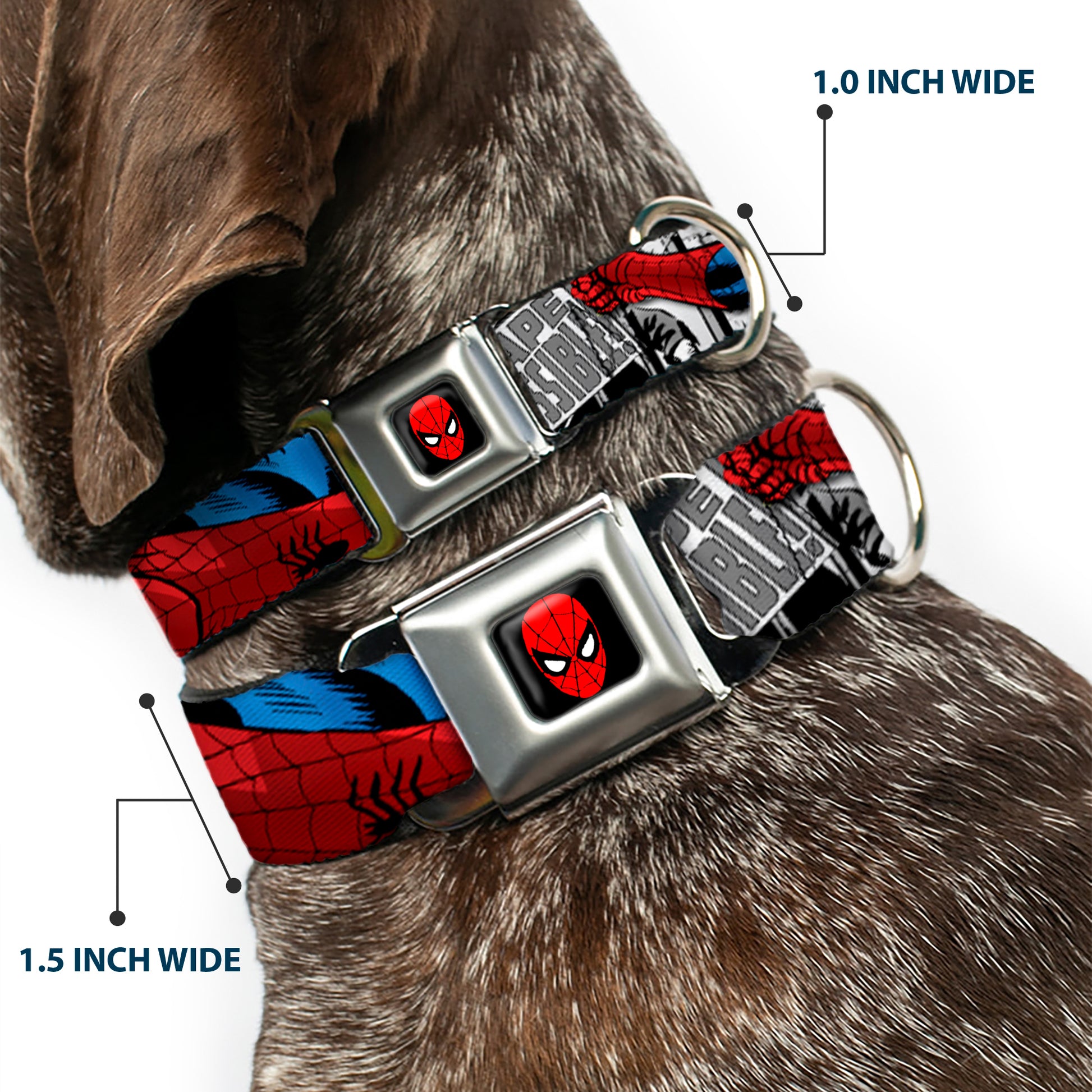 MARVEL UNIVERSE Spider-Man Full Color Seatbelt Buckle Collar - Spider-Man Action ESCAPE IMPOSSIBLE Gray Seatbelt Buckle Collars Marvel Comics
